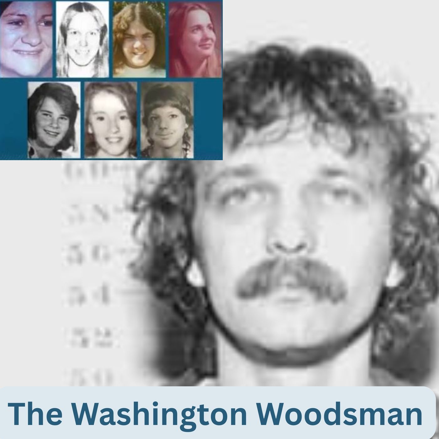 The Washington Woodsman - Warren Forrest
