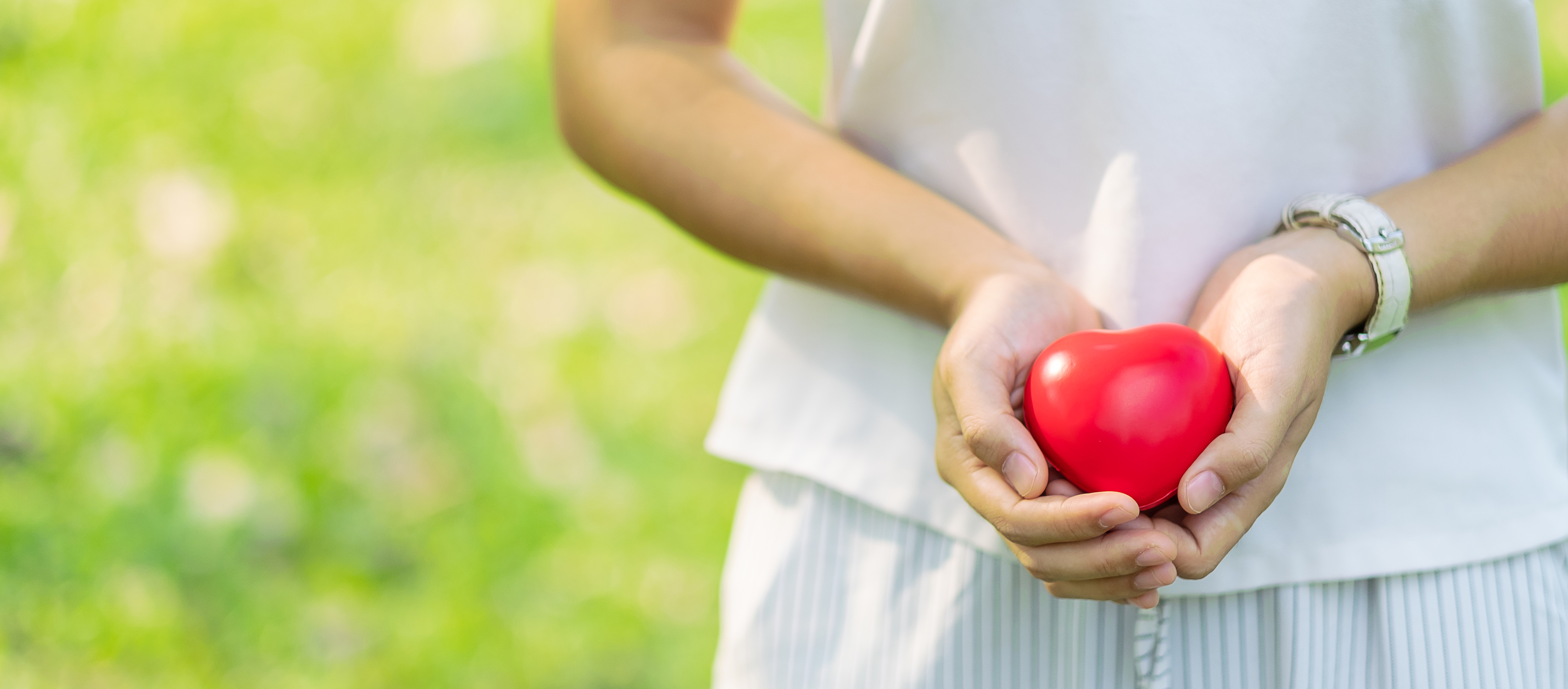 569: Cricket Badger Sett of Fame 2024 - this year's four inductees announced