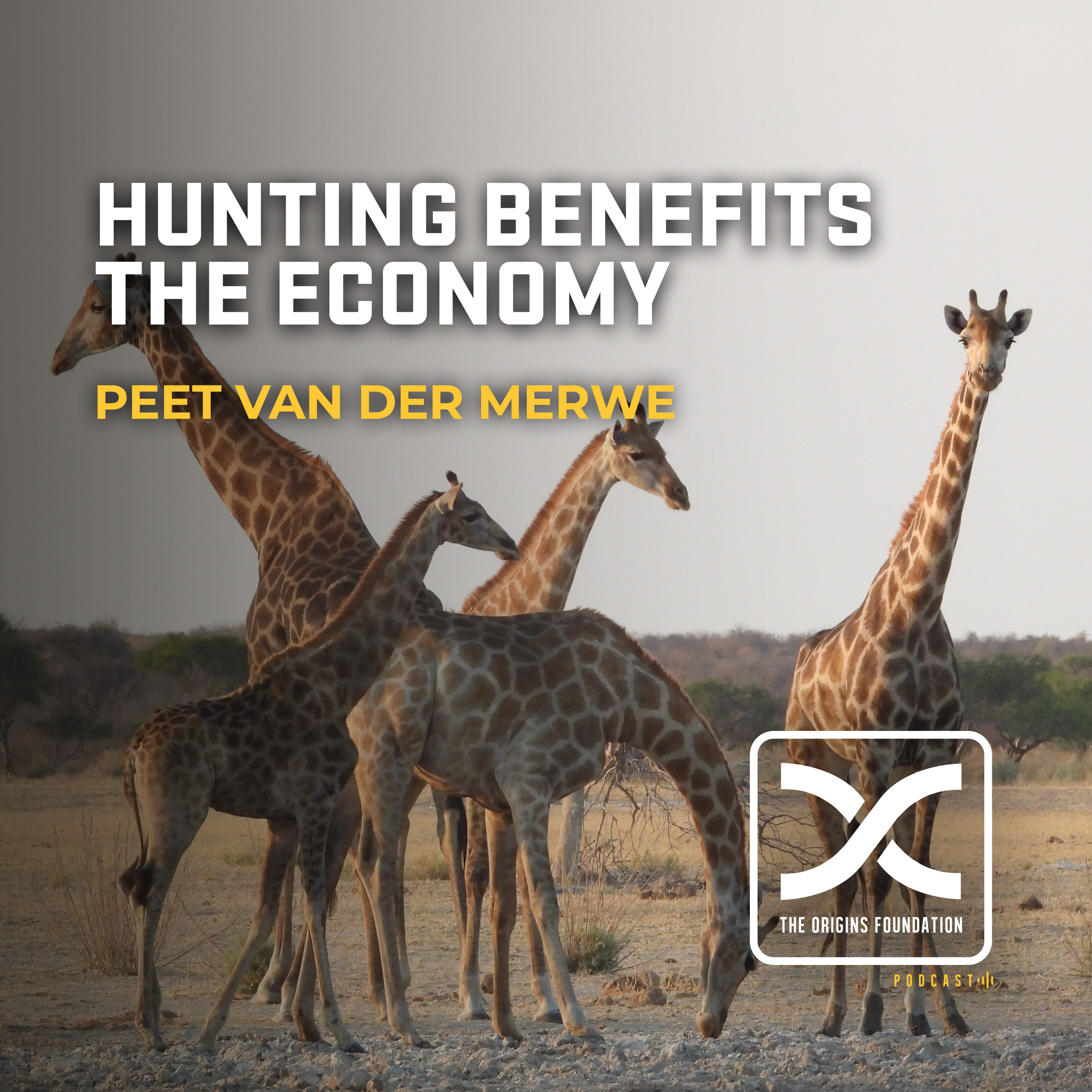 Episode 584 - Peet Van Der Merwe || Hunting Benefits The Economy