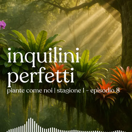 Inquilini perfetti - Stagione 1 | Episodio 8 episode artwork