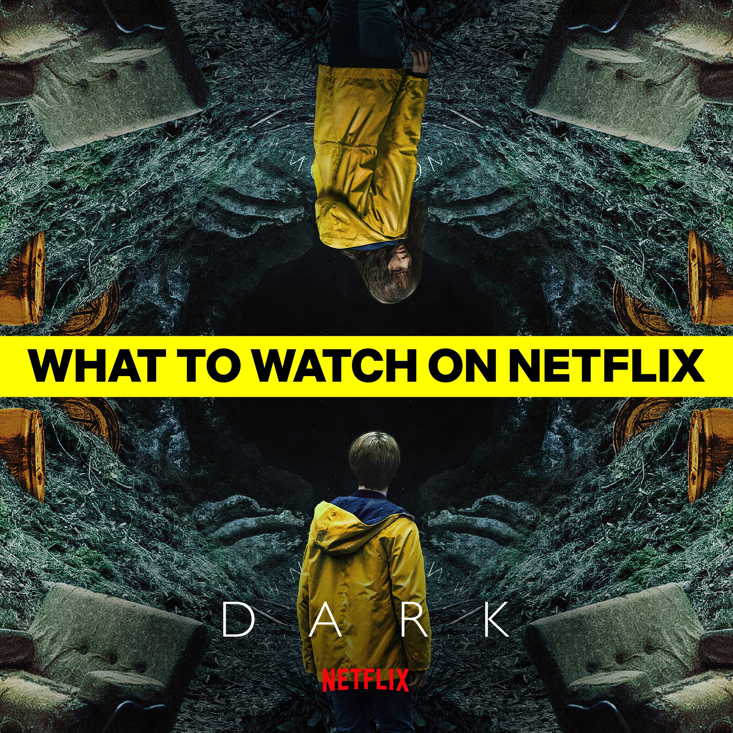 10/10 (Would Recommend)