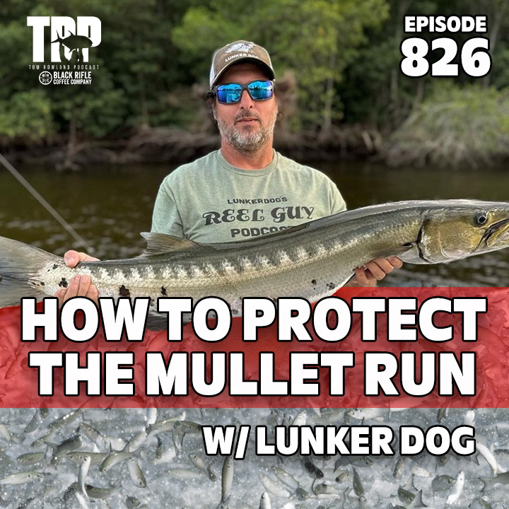 PROTECT THE MULLET RUN with Lunkerdog!