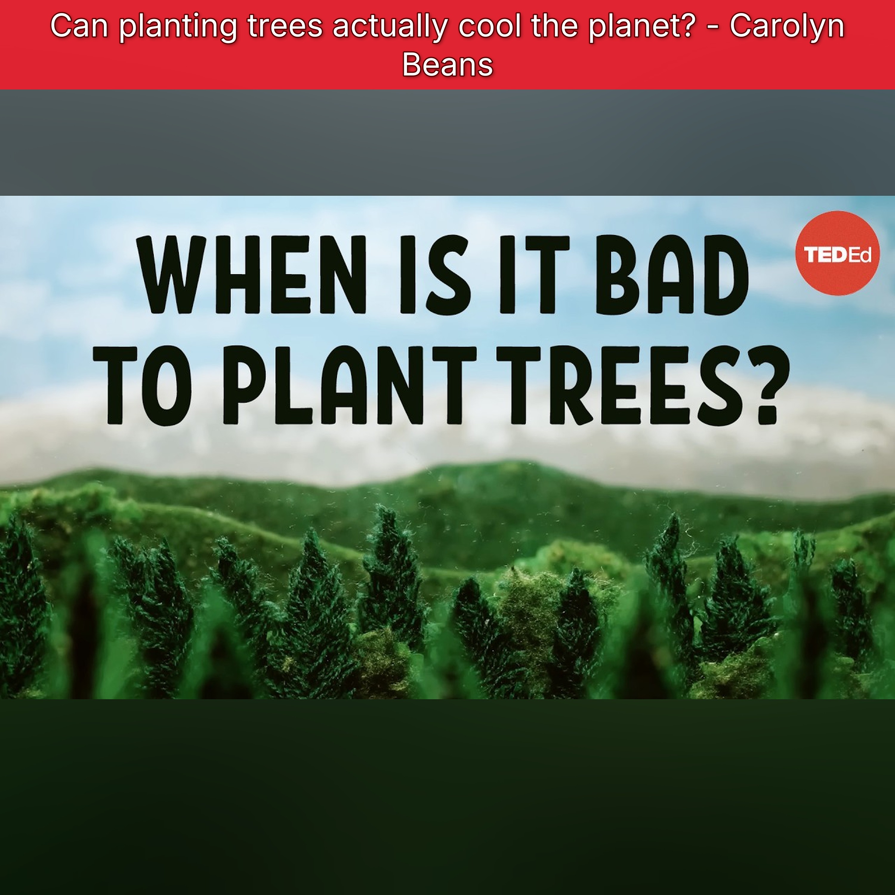 Can planting trees actually cool the planet? - Carolyn Beans episode artwork