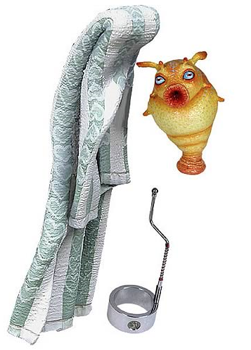 What the HELL Were You Thinking?