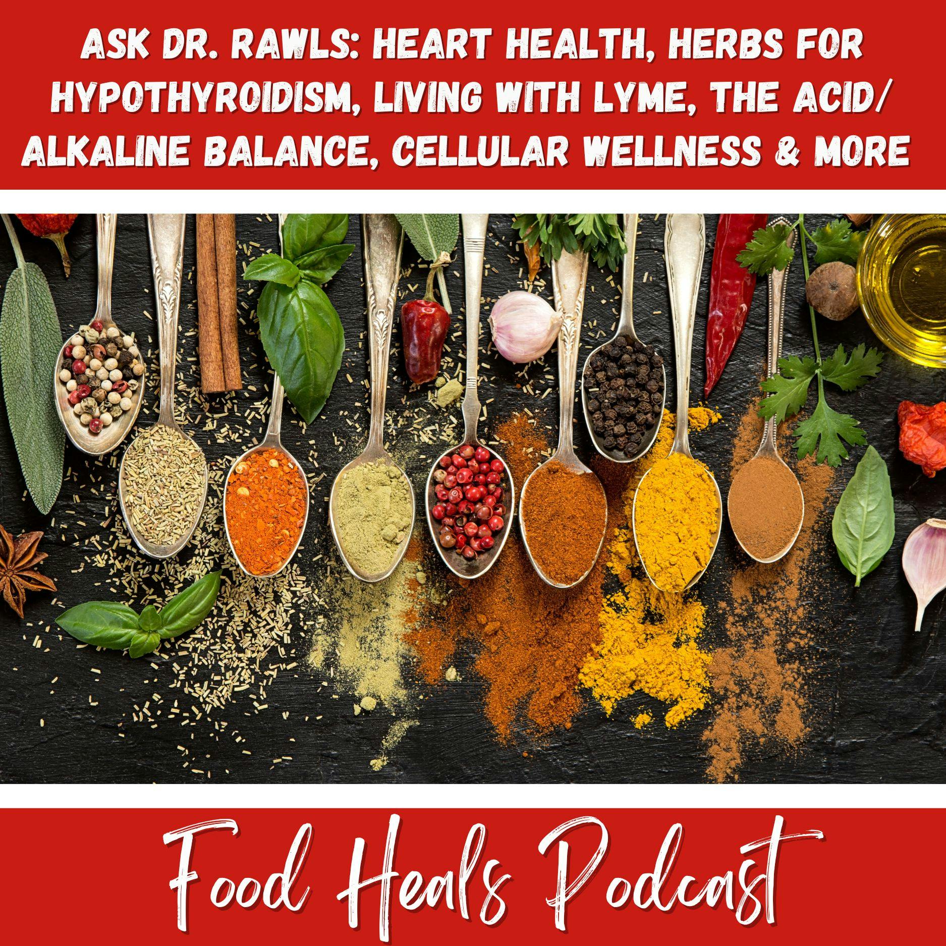 The Food Heals Podcast  424: Forgiveness is Freedom plus a Candid  Conversation on Mental Health with Katie Krimitsos and Ashley Fillingim