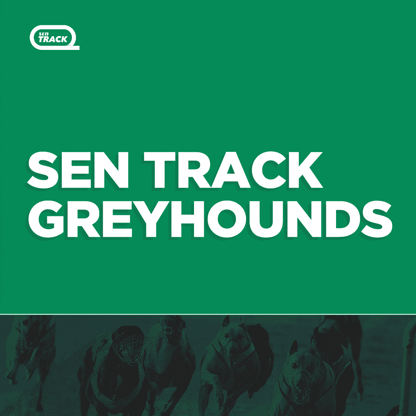 SENTrack Greyhounds