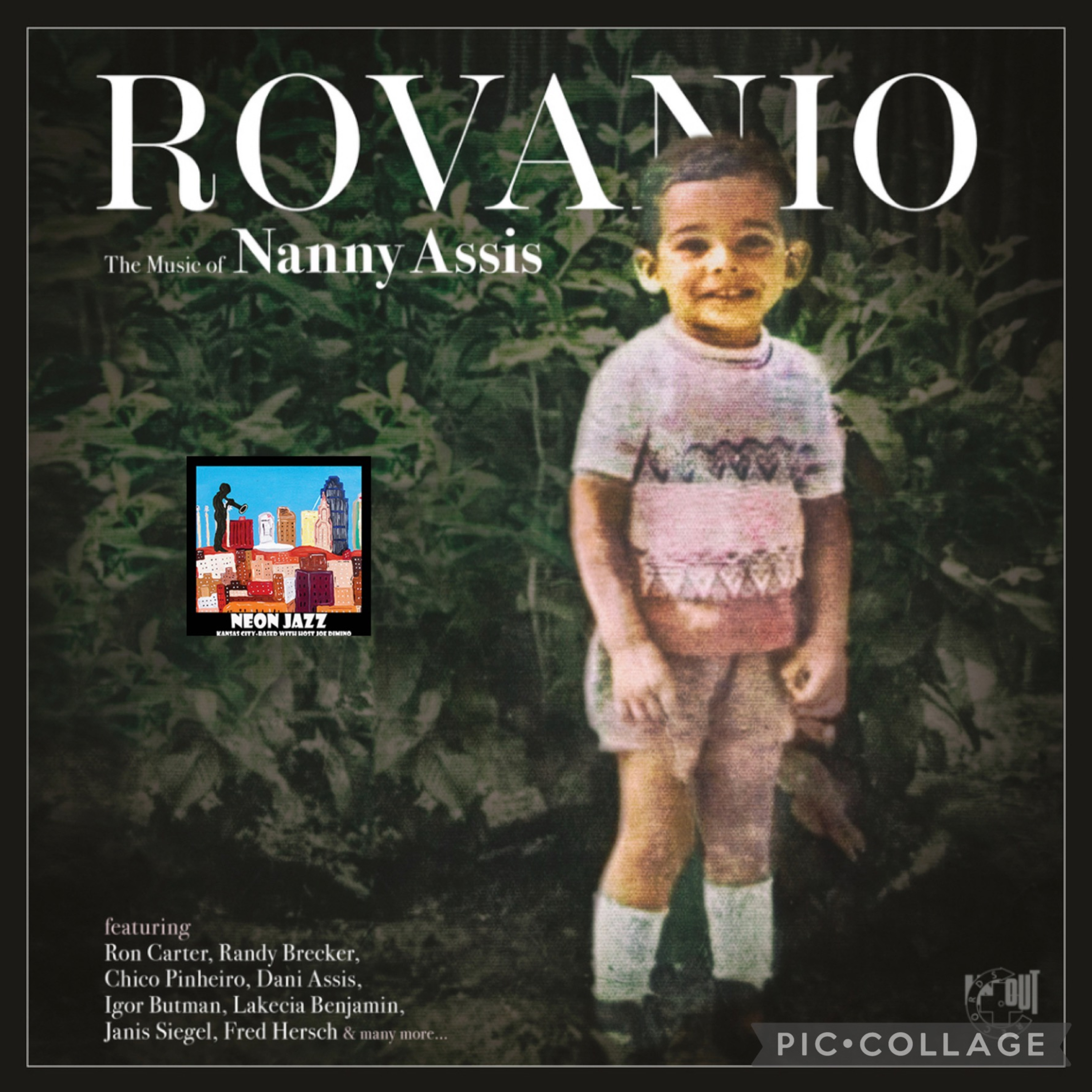 Jazz Singer, Percussionist & Guitarist Nanny Assis episode artwork