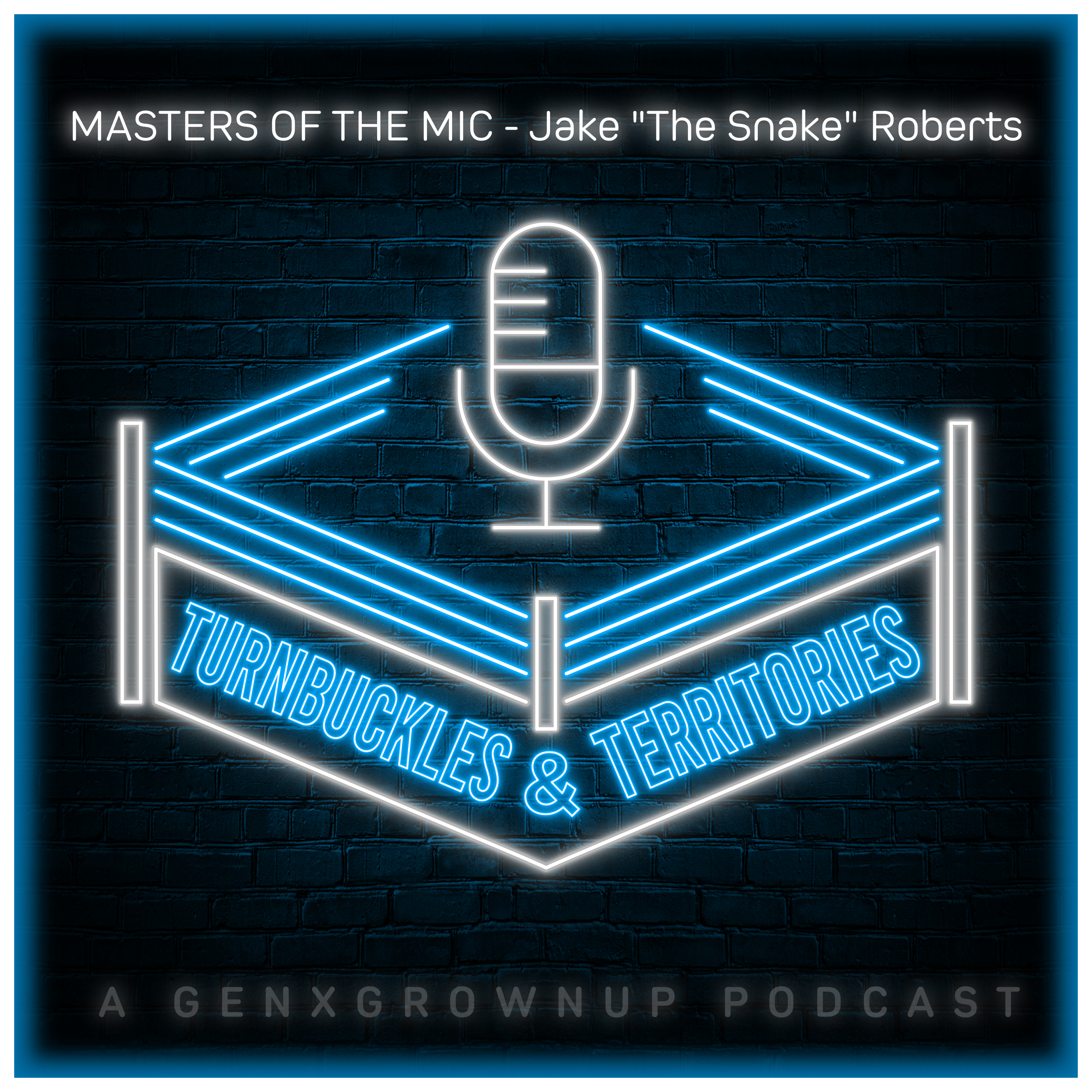 Masters of the Mic - Jake the Snake Roberts episode artwork