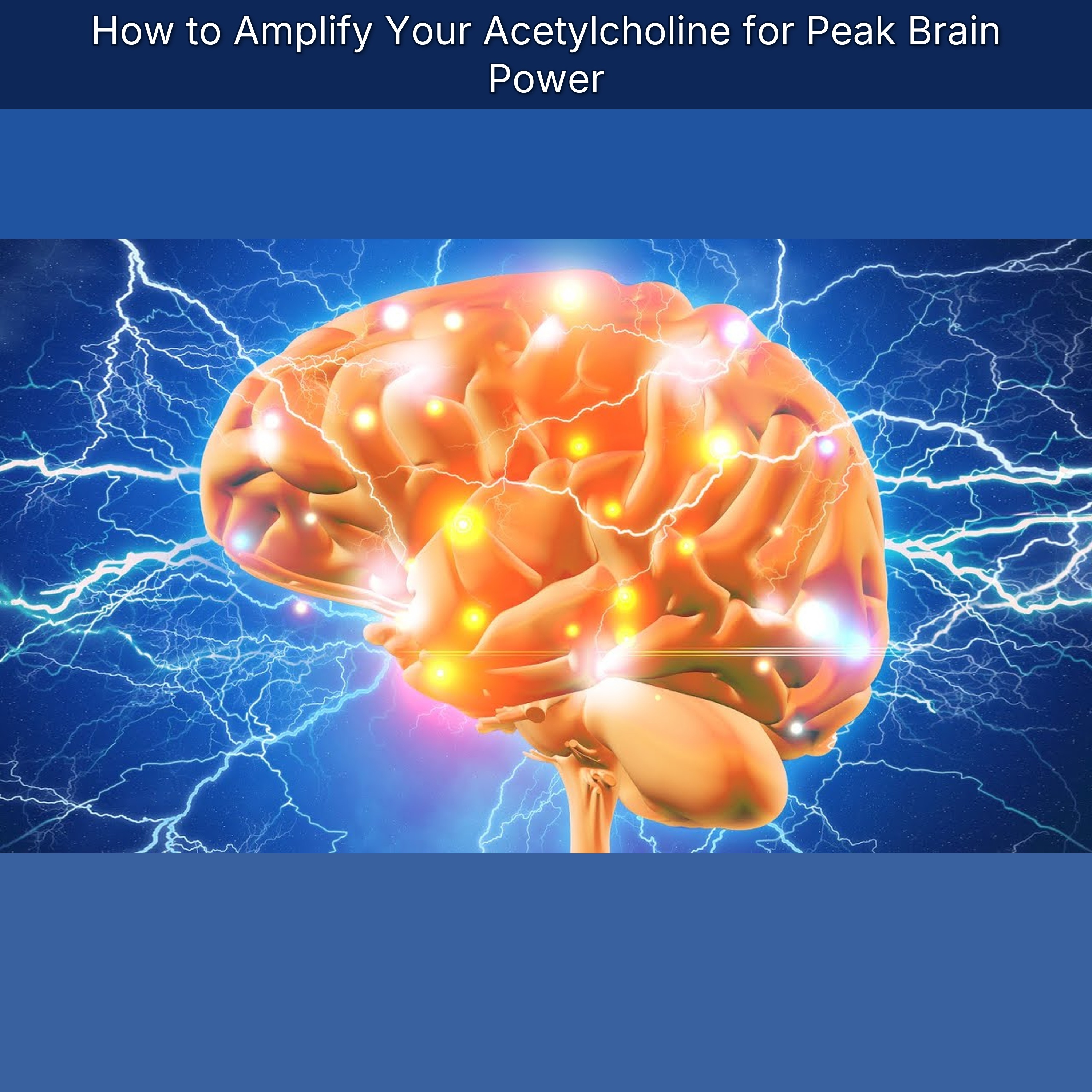 How to Amplify Your Acetylcholine for Peak Brain Power