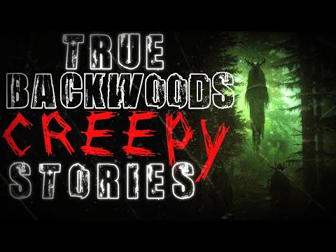 True Backwoods Creepy Stories with Nature Sounds