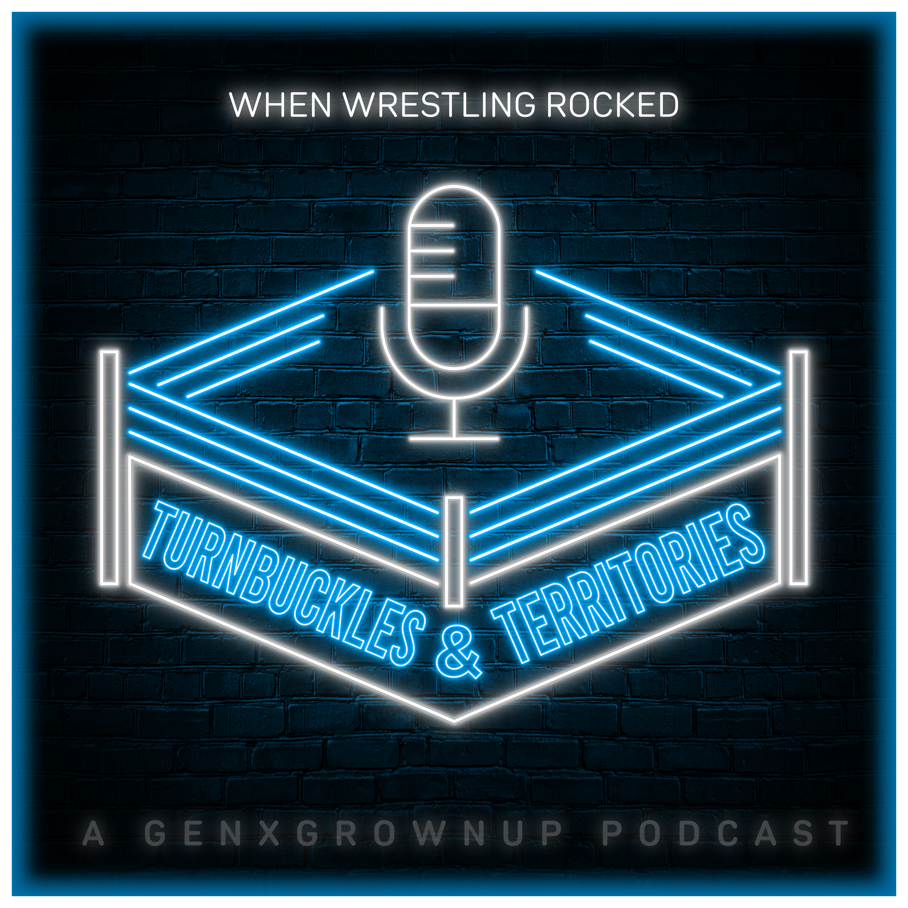When Wrestling Rocked episode artwork