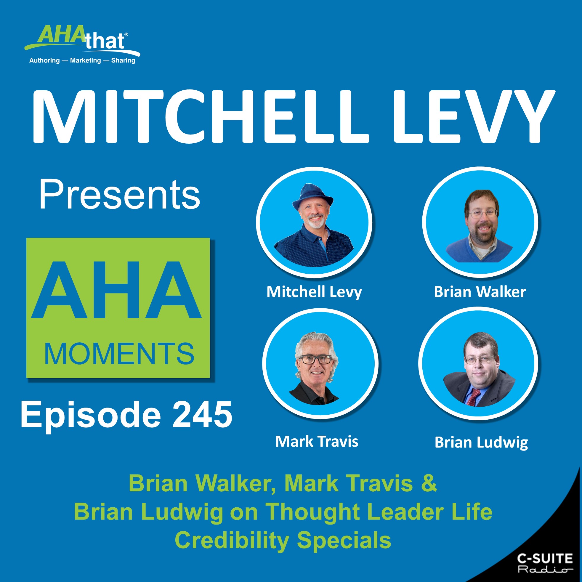 Mitchell Levy Presents AHA Moments