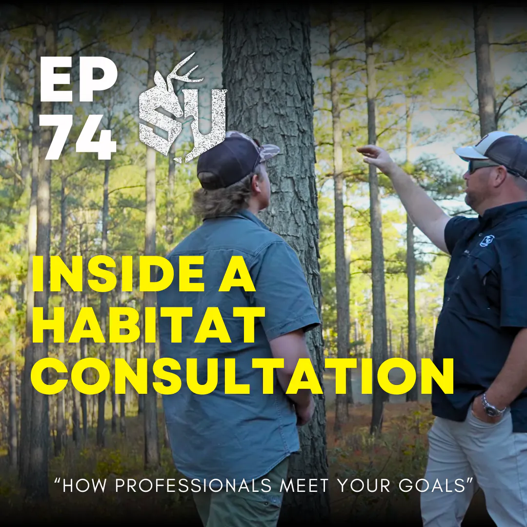 EP 74: Inside A Habitat Consultation episode artwork