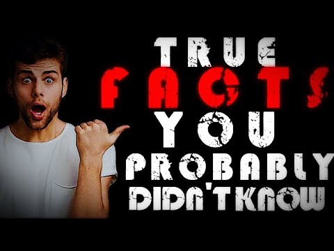 True Facts You Probably Didn't Know with Relaxing Rain Sounds