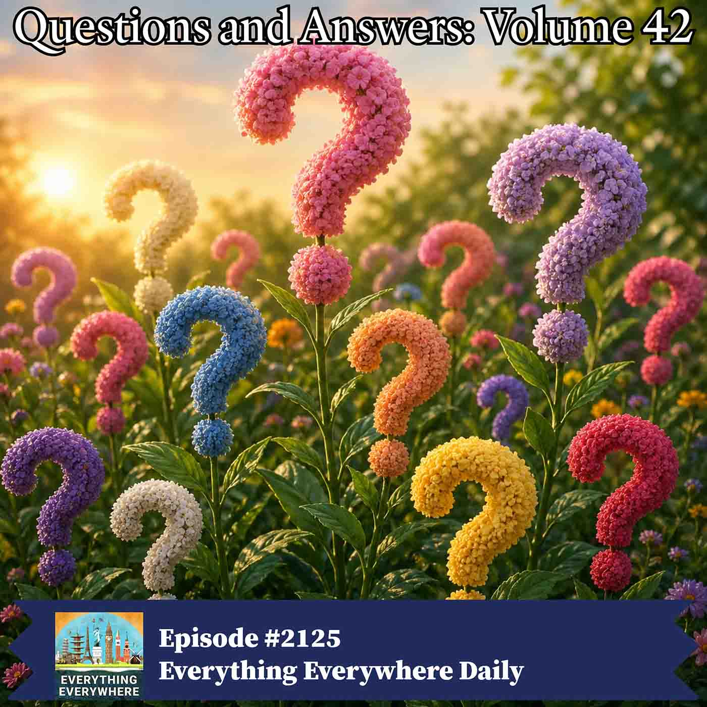 Questions and Answers: Volume 42
