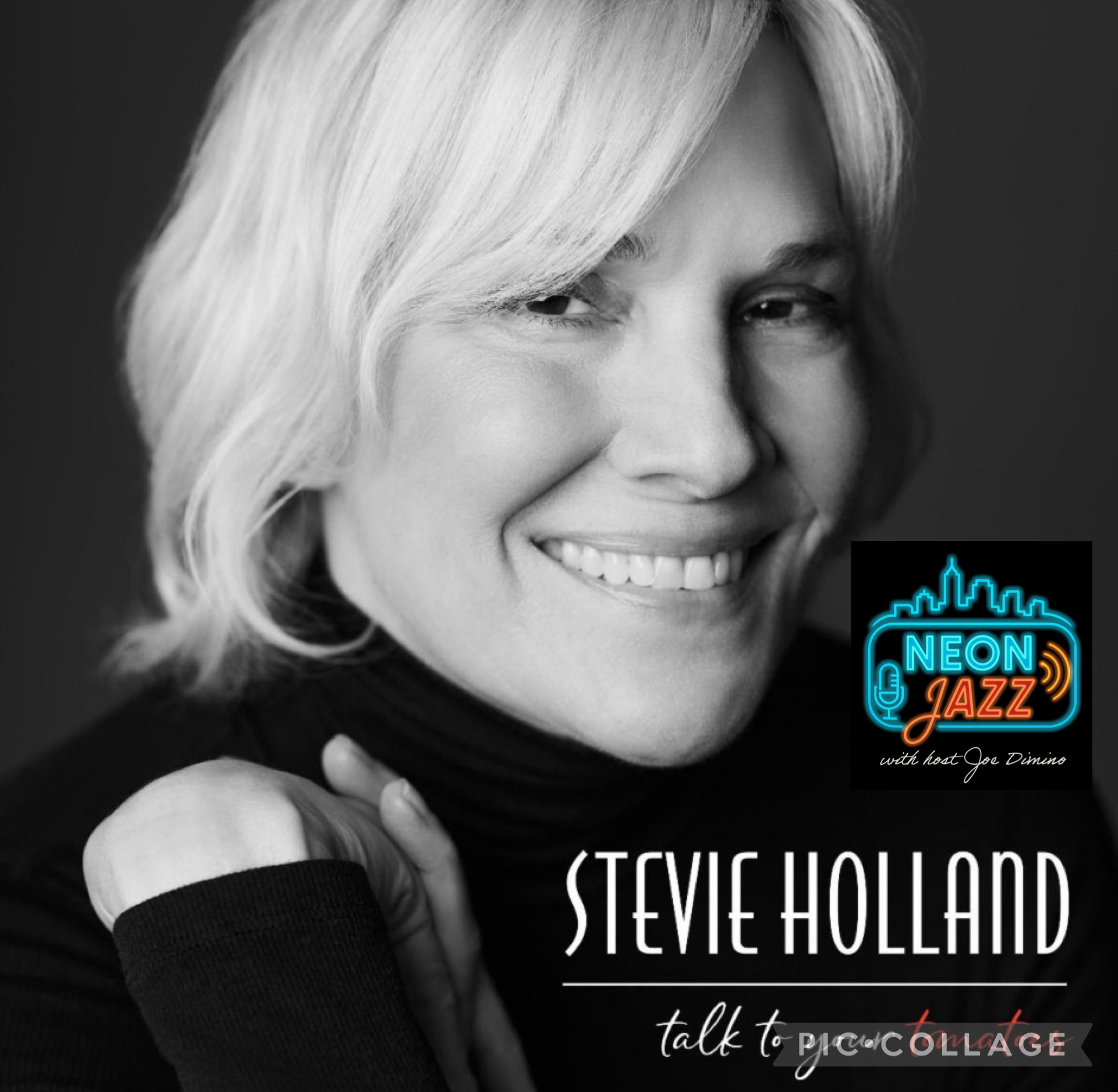 Jazz Vocalist, Writer & Lyricist Stevie Holland