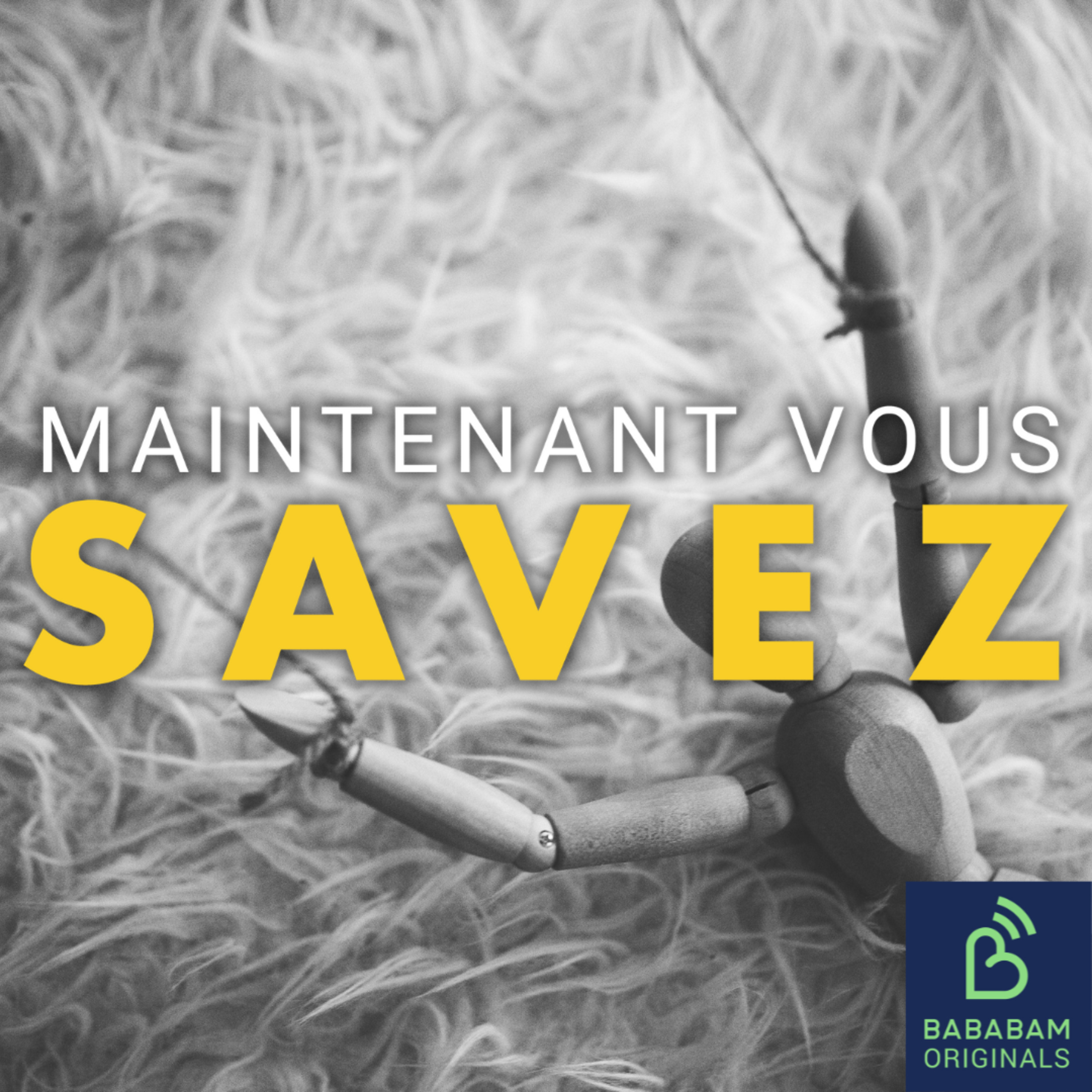 Quelles sont les 3 techniques de manipulation les plus connues ? 