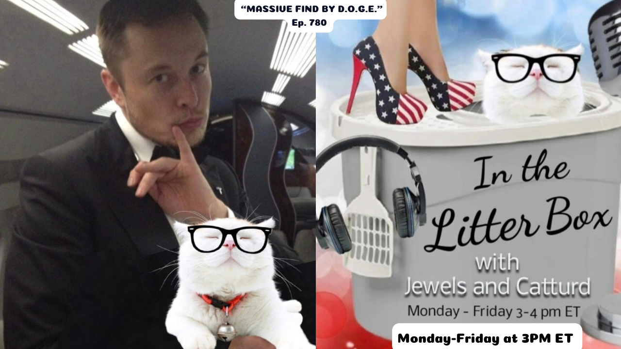 MASSIVE FIND BY D.O.G.E. | In the Litter Box w/ Jewels & Catturd – Ep. 780 – 4/9/2025
