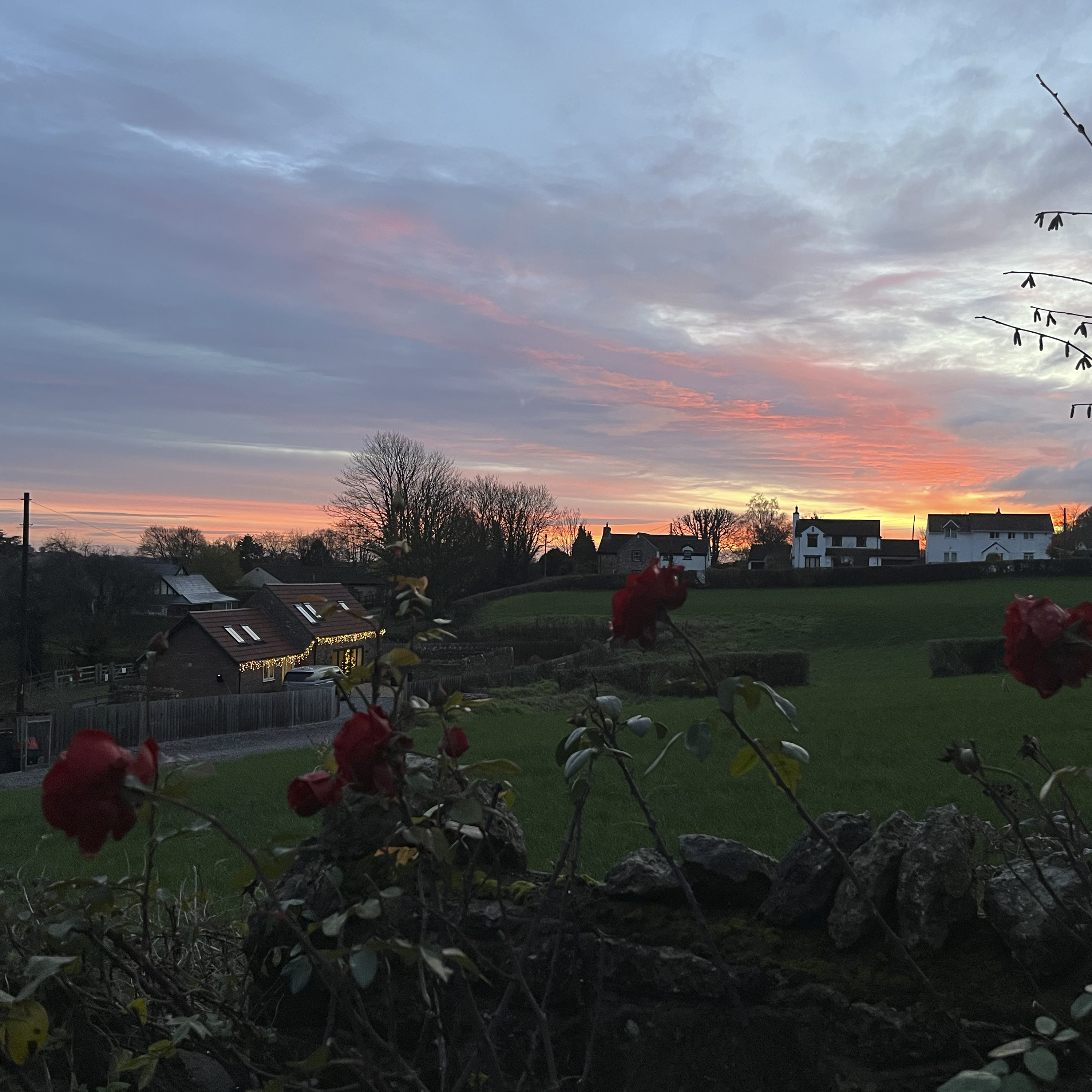 Sound Escape 254. Wake up to gentle birdsong in a sleepy village