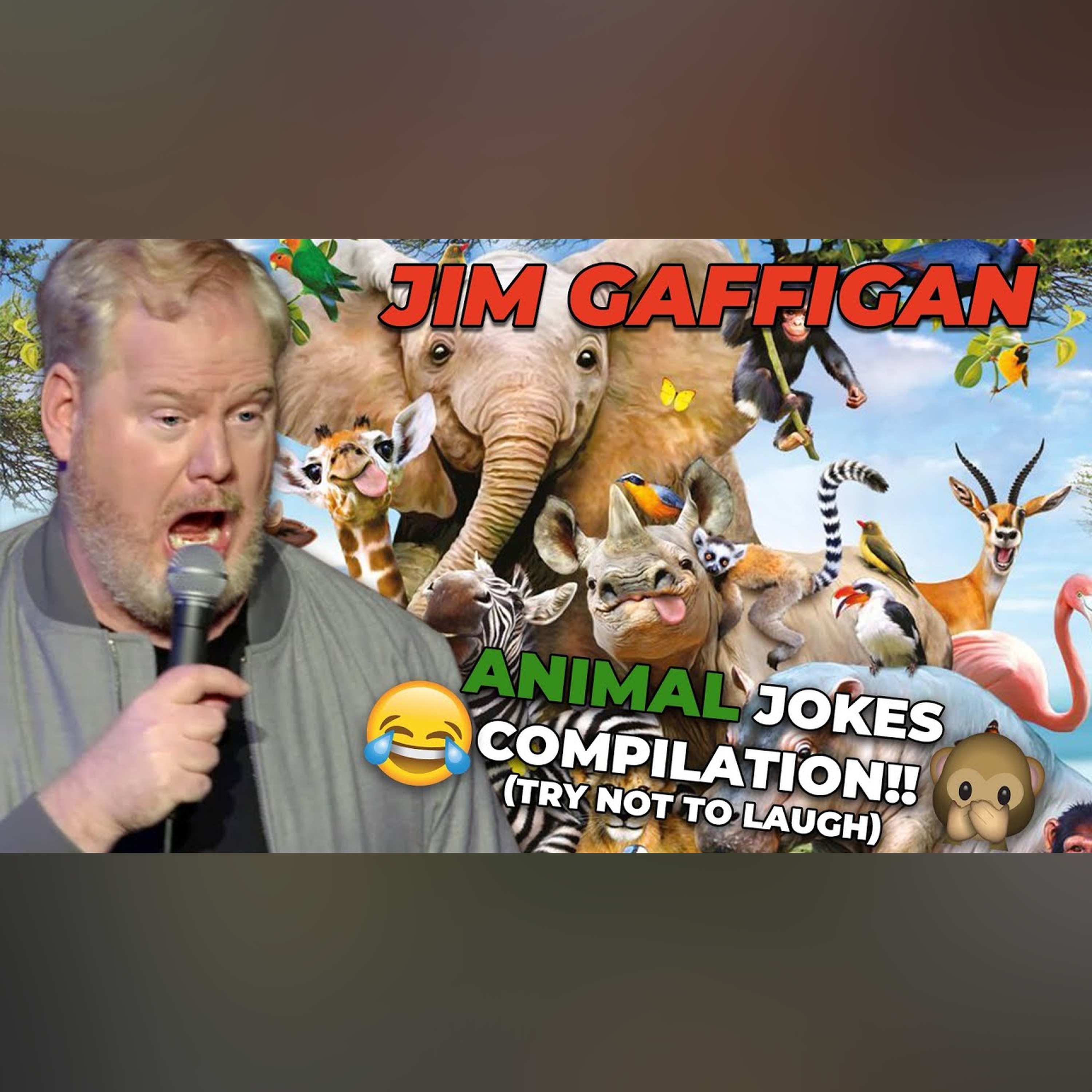 FUNNIEST Animal Jokes | Stand-Up Compilation
