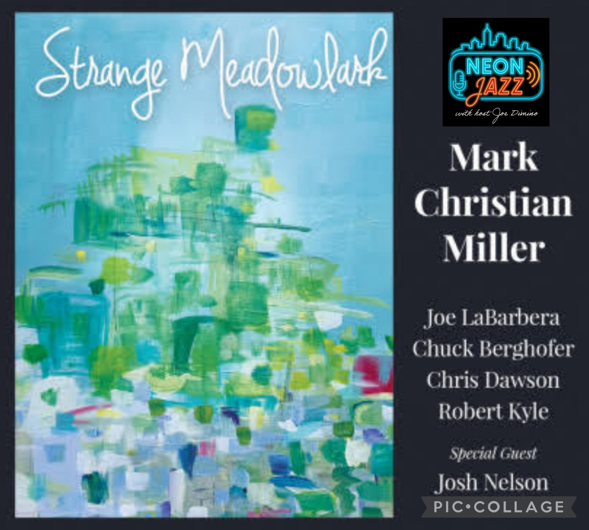 Neon Jazz Interviews