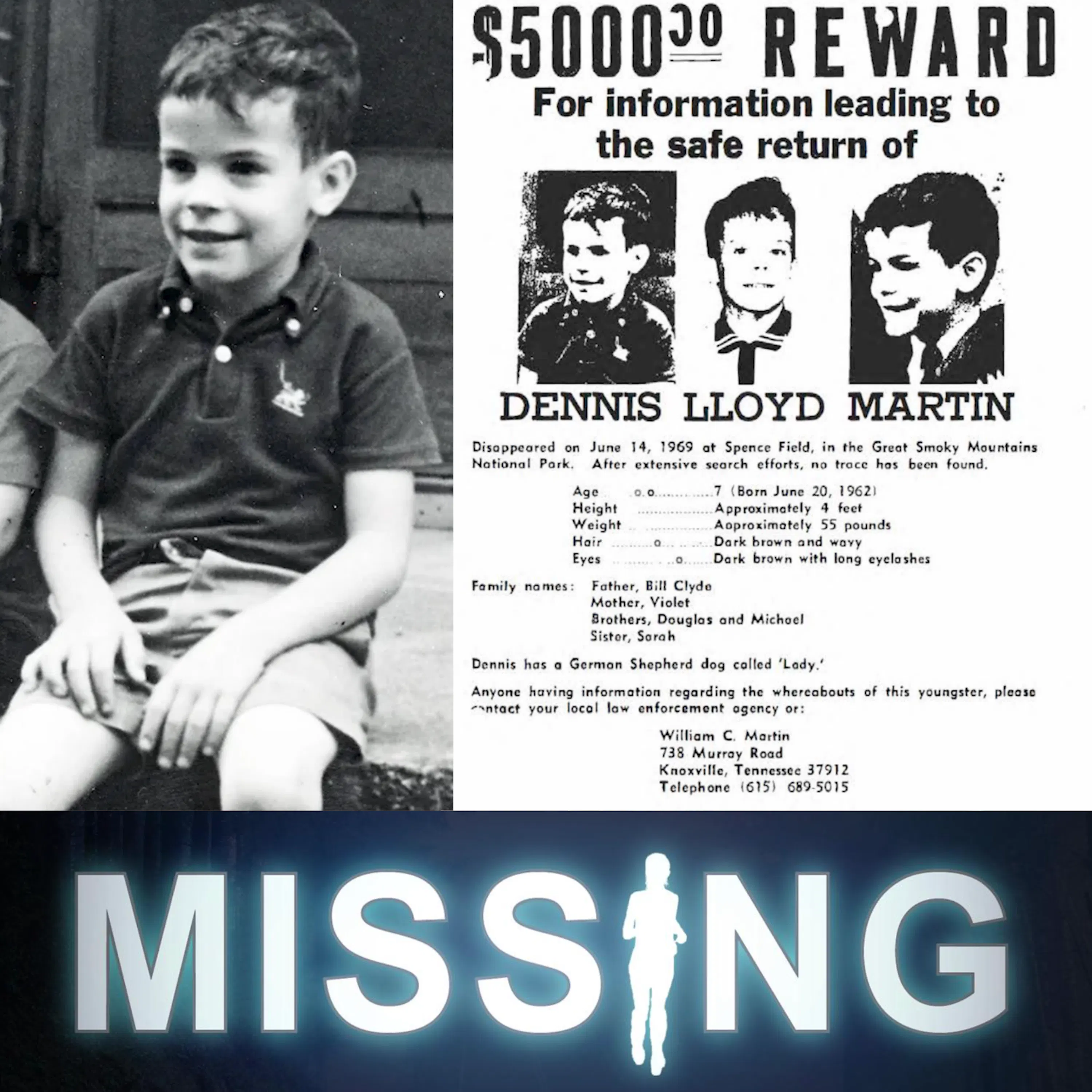 10 - Dennis Martin - Missing in the Smokies episode artwork
