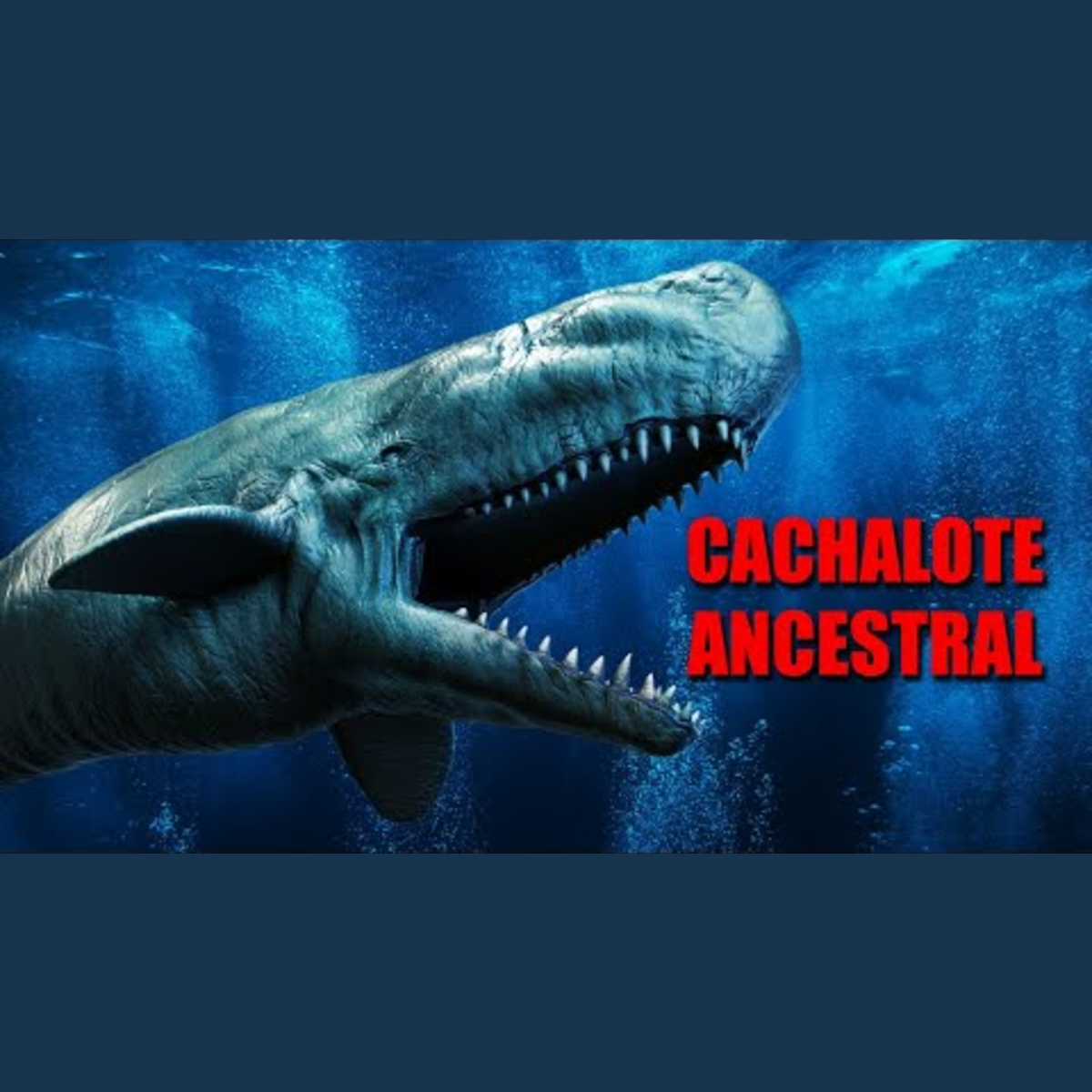 Animalogic En Español