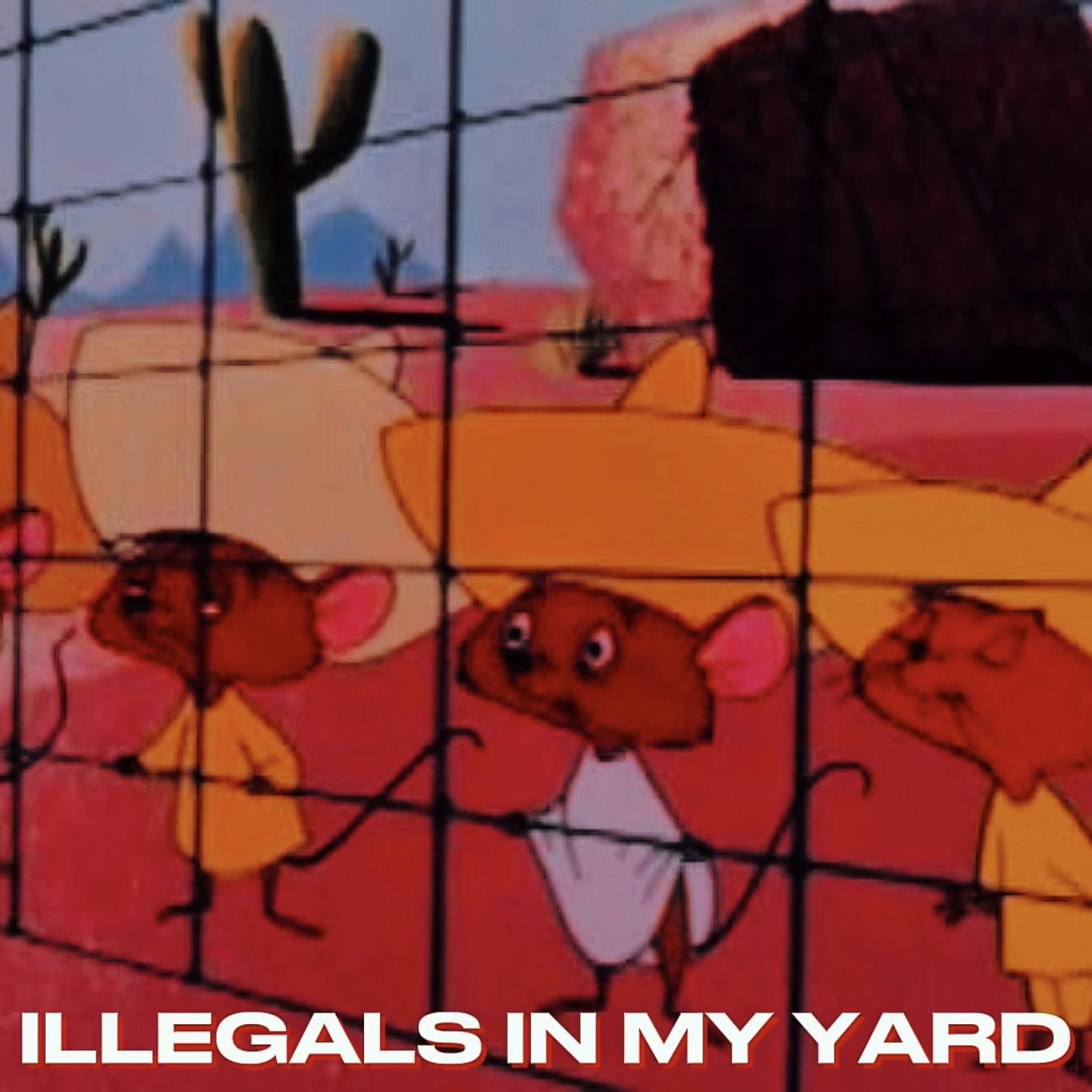 ILLEGALS IN MY YARD (TikTok Song) ILLEGALS IN MY YARD (TikTok Song)