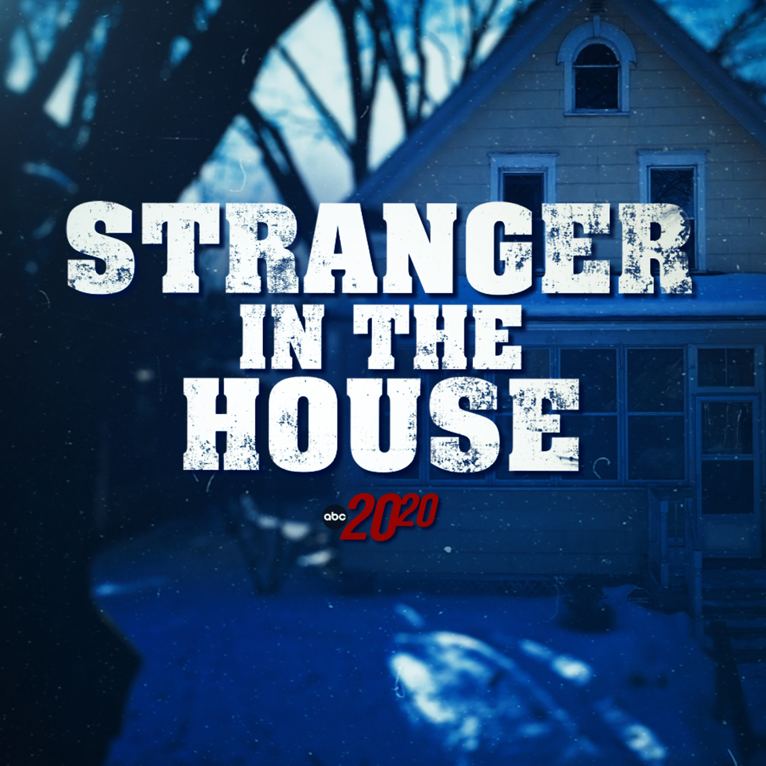 Stranger in the House