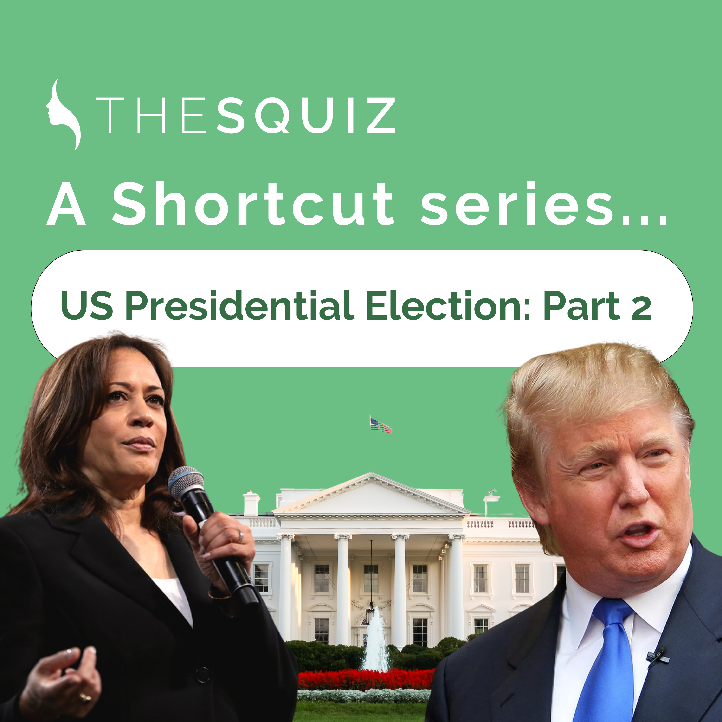 Your Shortcut to... the US Election Part 2: The big domestic issues