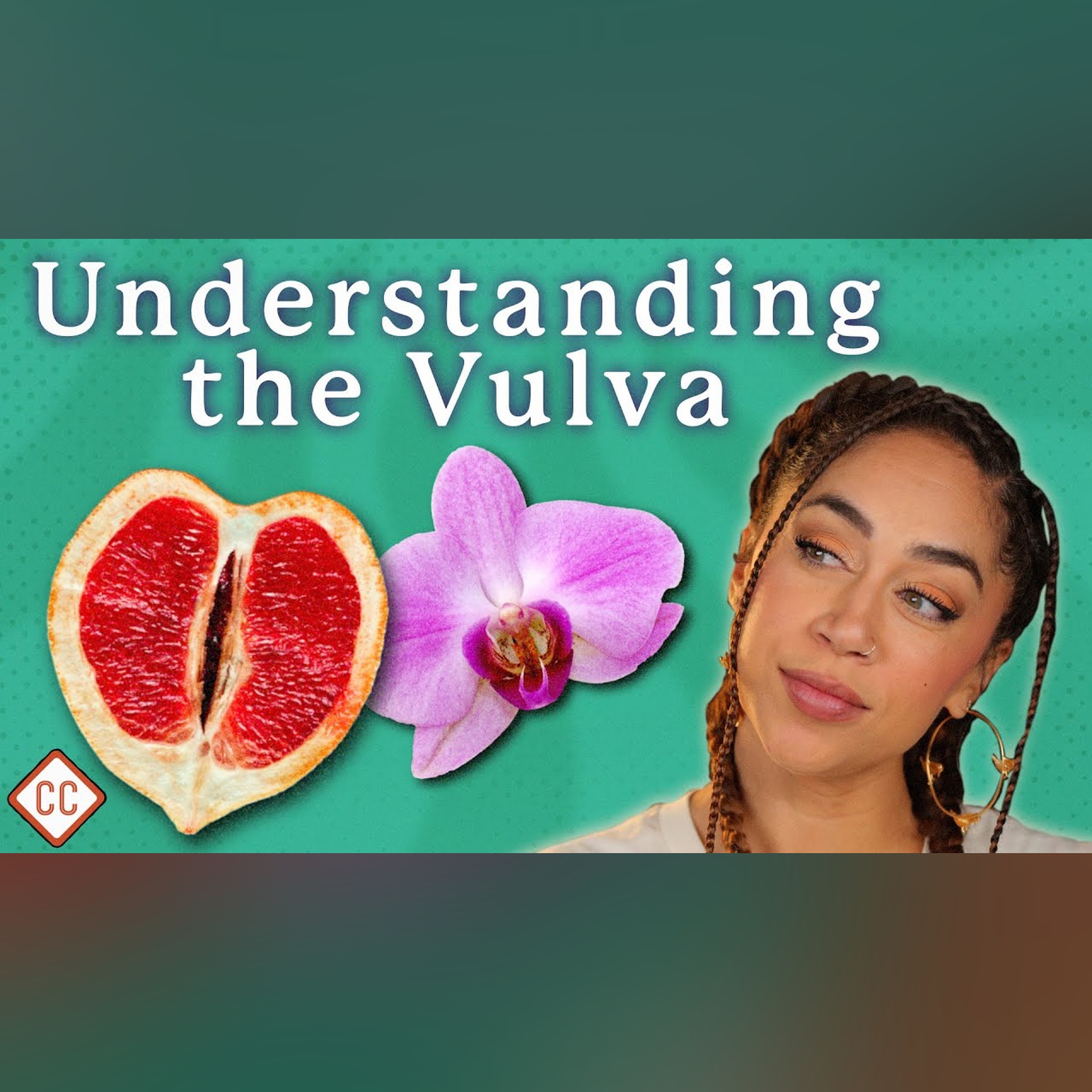 The Vulva and Vagina Explained: Sex Ed #2