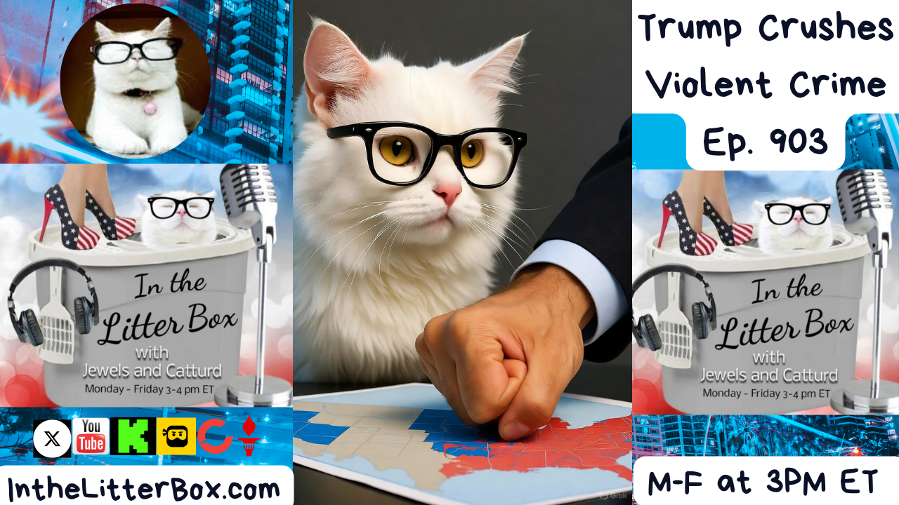 Trump Crushes Violent Crime | In the Litter Box w/ Jewels & Catturd – Ep. 903 – 10/16/2025