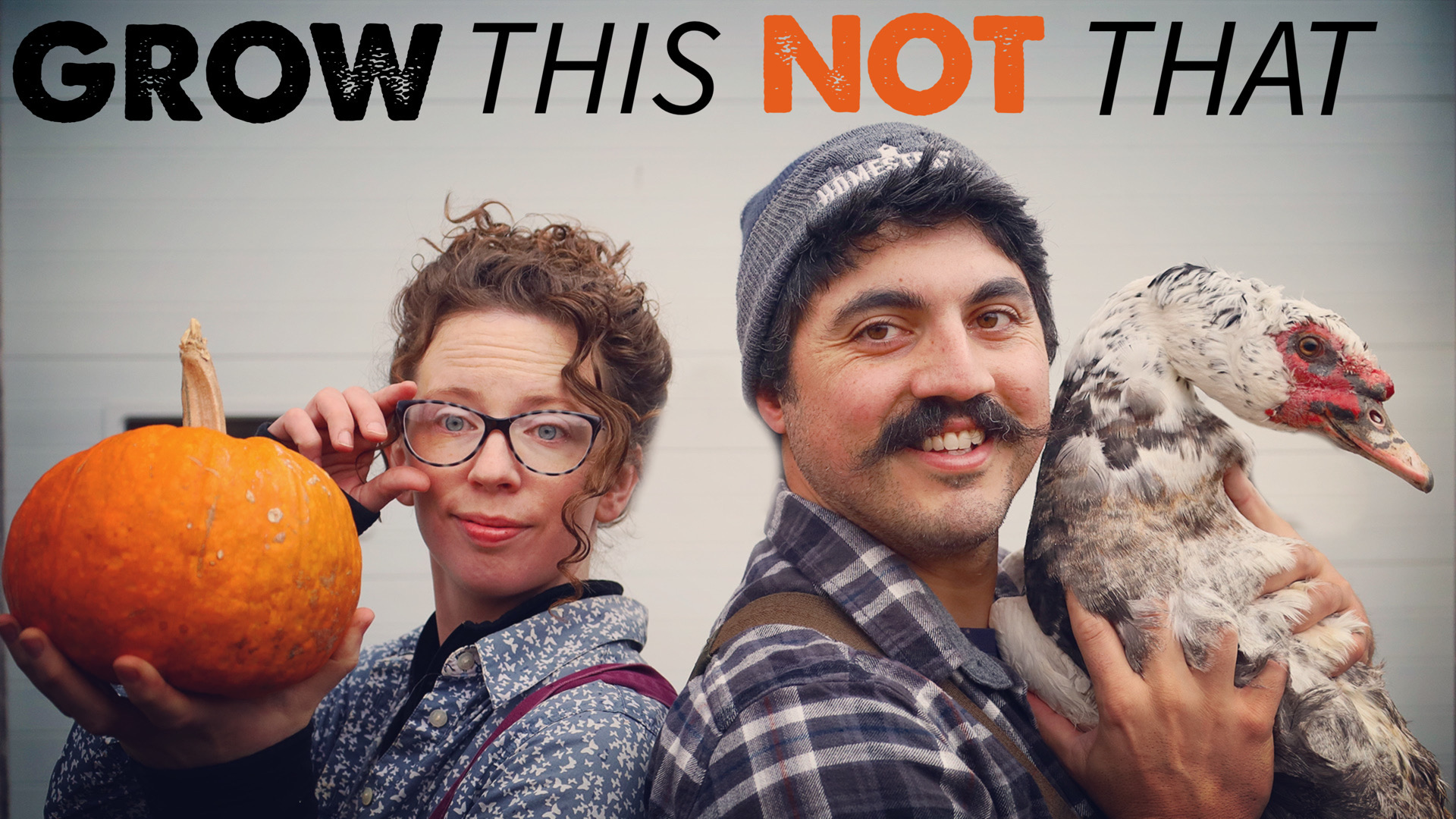 Self-Sufficiency Food: Best & Worst Crops to Grow