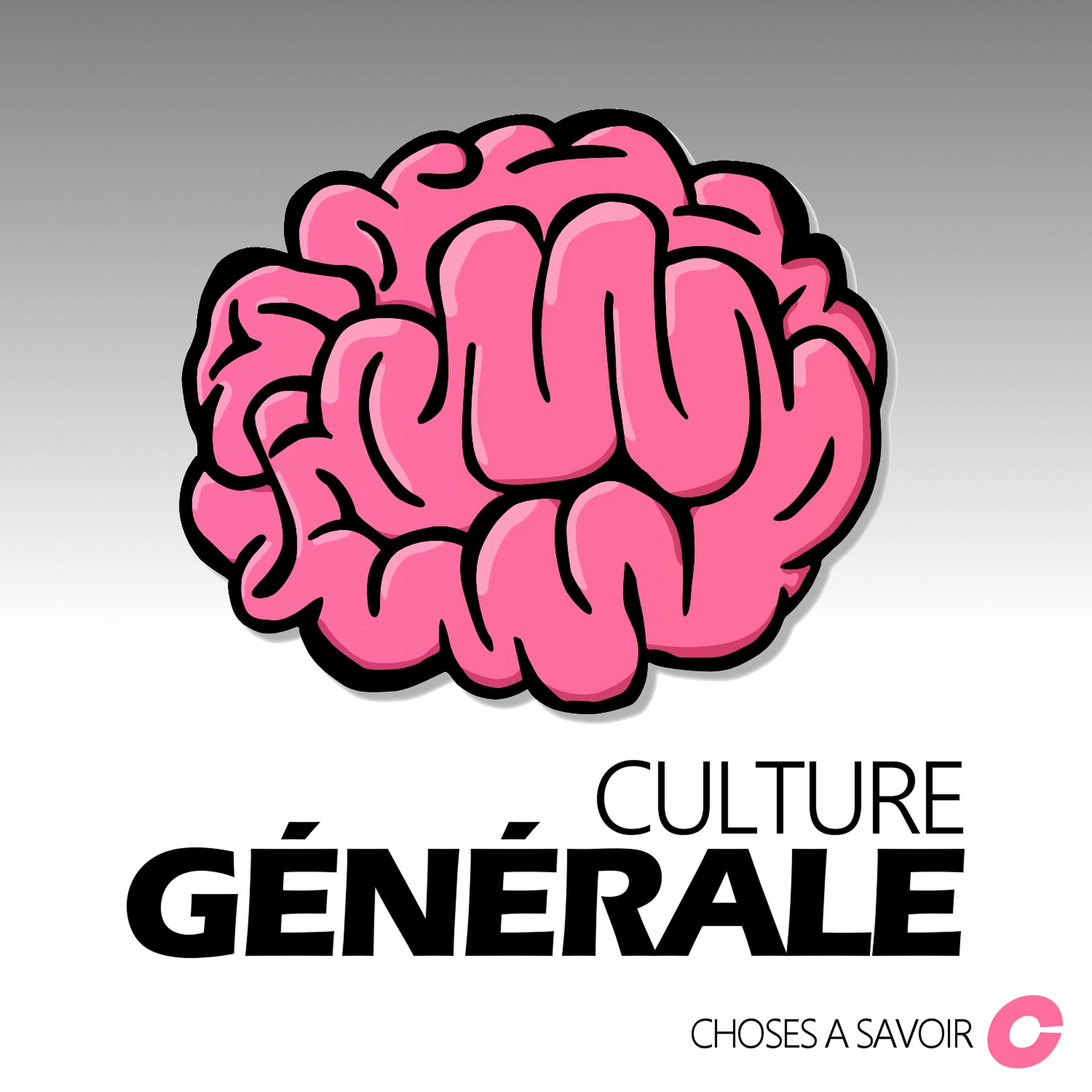 Pourquoi la recette du 