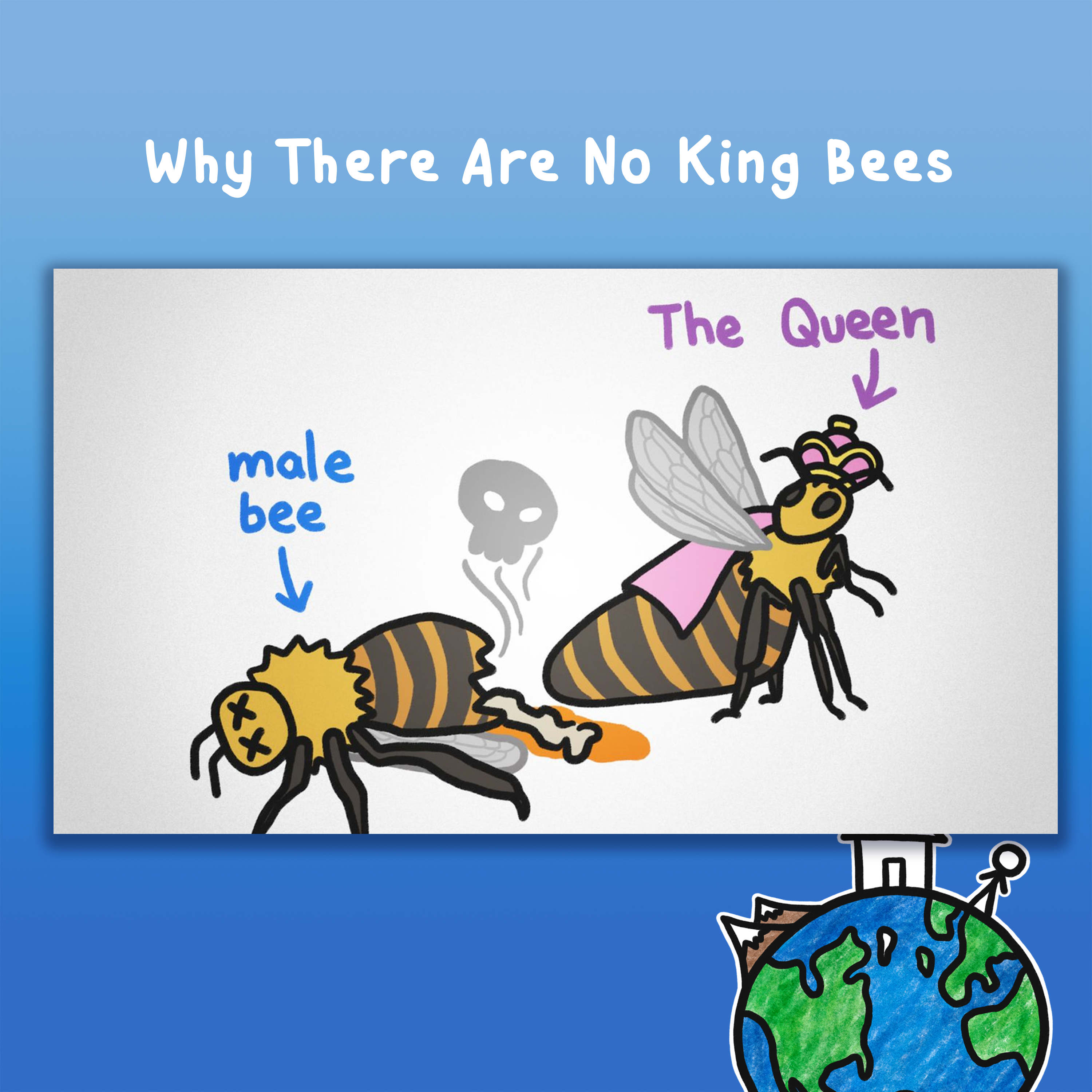 Why There Are No King Bees