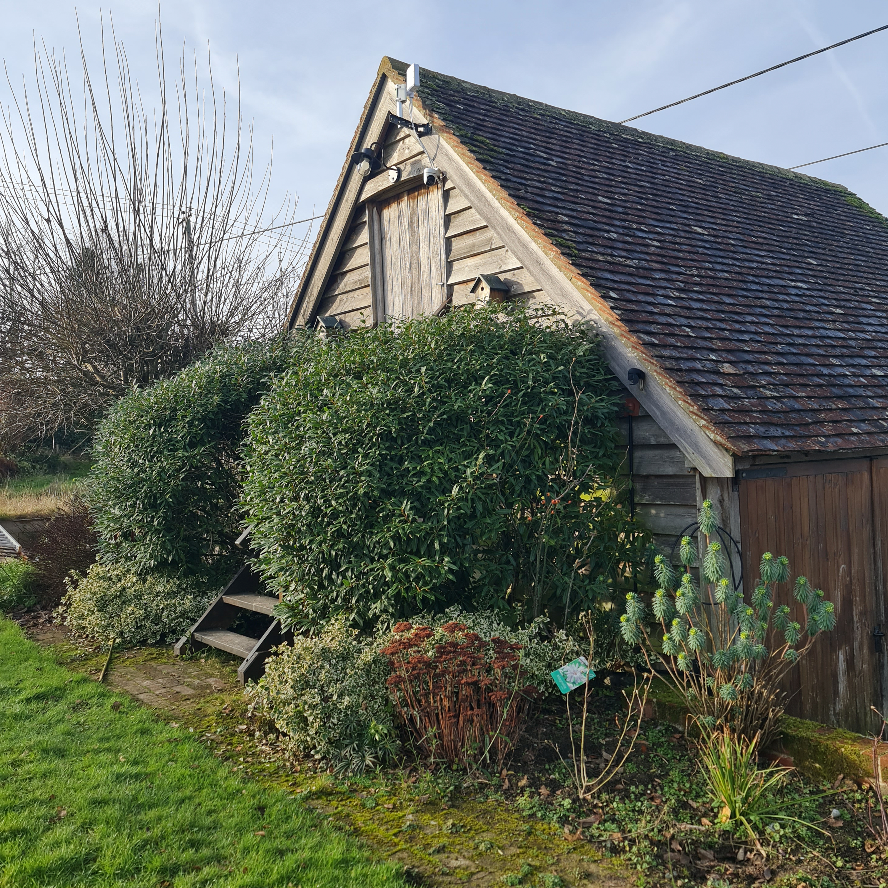 Sound Escape 257. Hear a garden come alive with birdsong as it is warmed by the winter sun