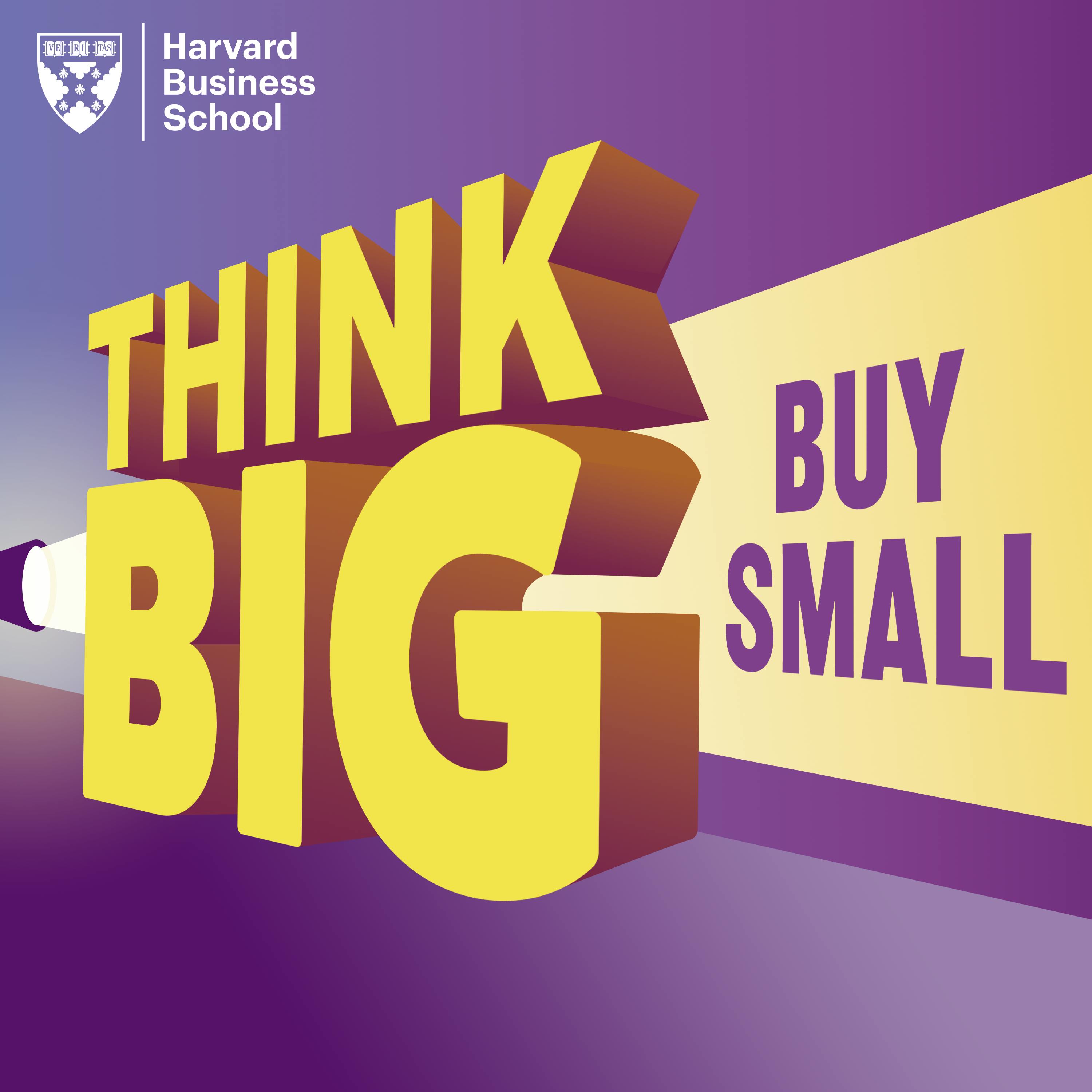 Think Big Buy Small Podcast Transcripts think-big-buy-small-podcast-transcripts