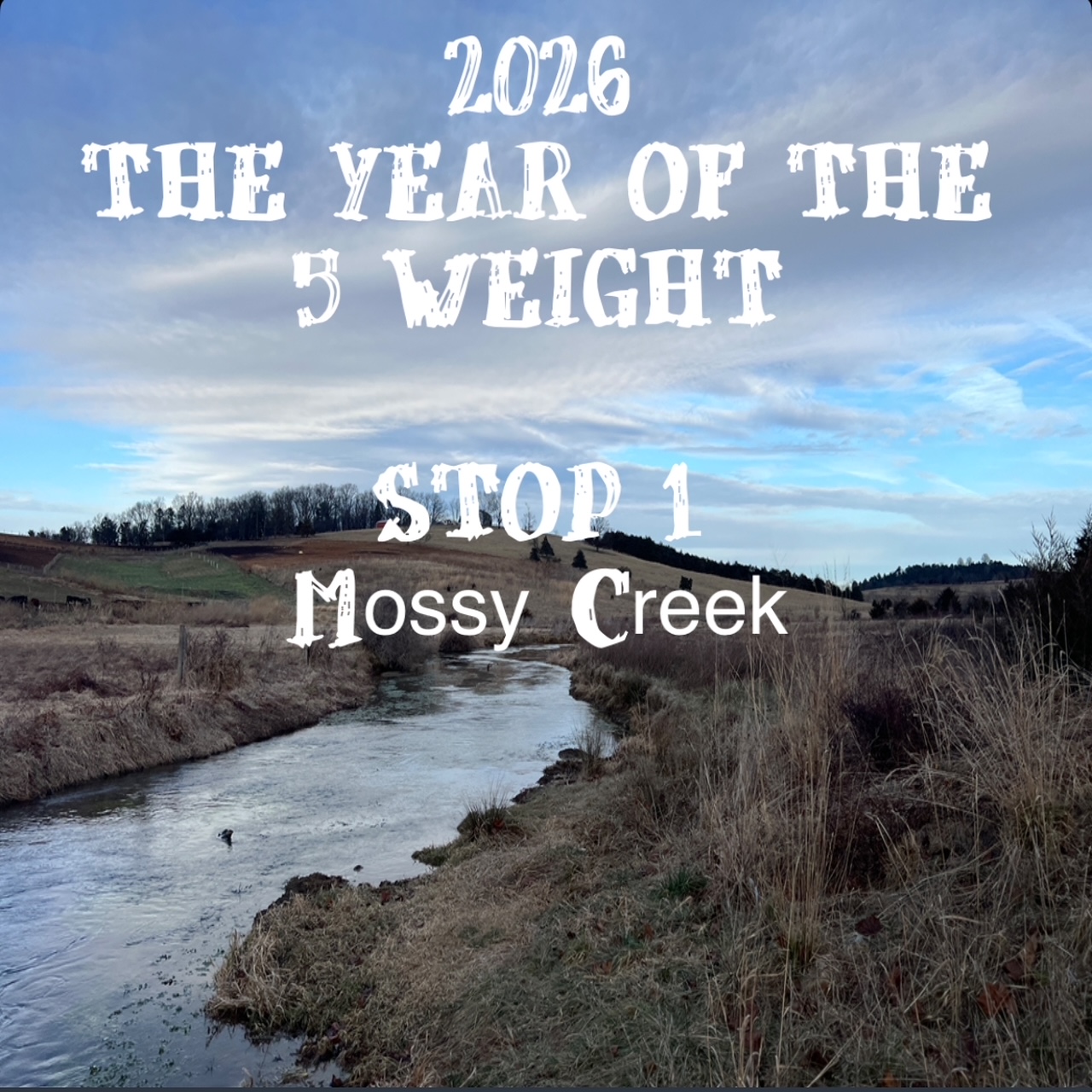 Fly Fishing Consultant Podcast