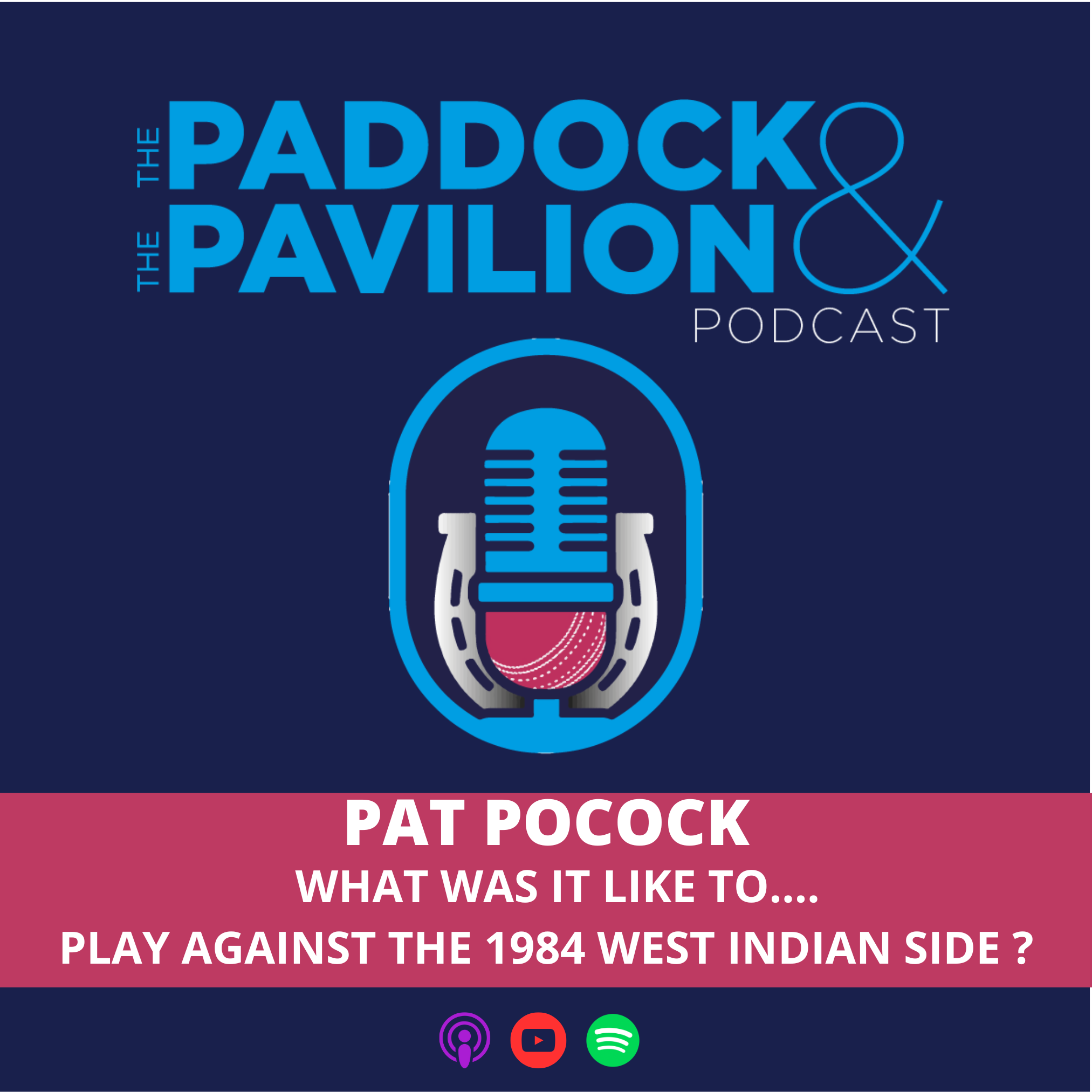 Pat Pocock - What was it like to....play against the 1984 West Indian side? episode artwork