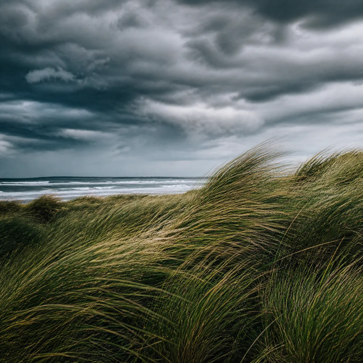🌬️ VIENTO potente entre las HIERBAS y RÁFAGAS bajo un cielo cambiante — 1 H para meditar y liberar la mente