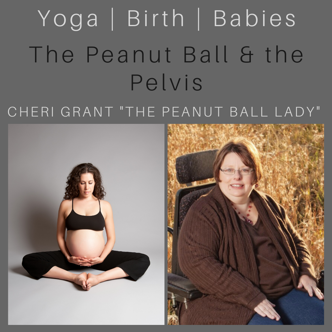 The Peanut Ball and the Pelvis with Cheri Grant the "Peanut Ball Lady" episode artwork