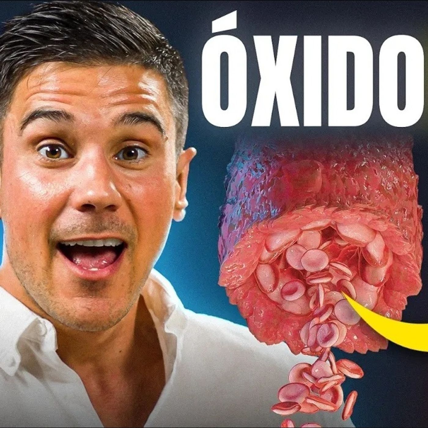 ÓXIDO NÍTRICO_ la MOLÉCULA que SALVARÁ tus ARTERIAS