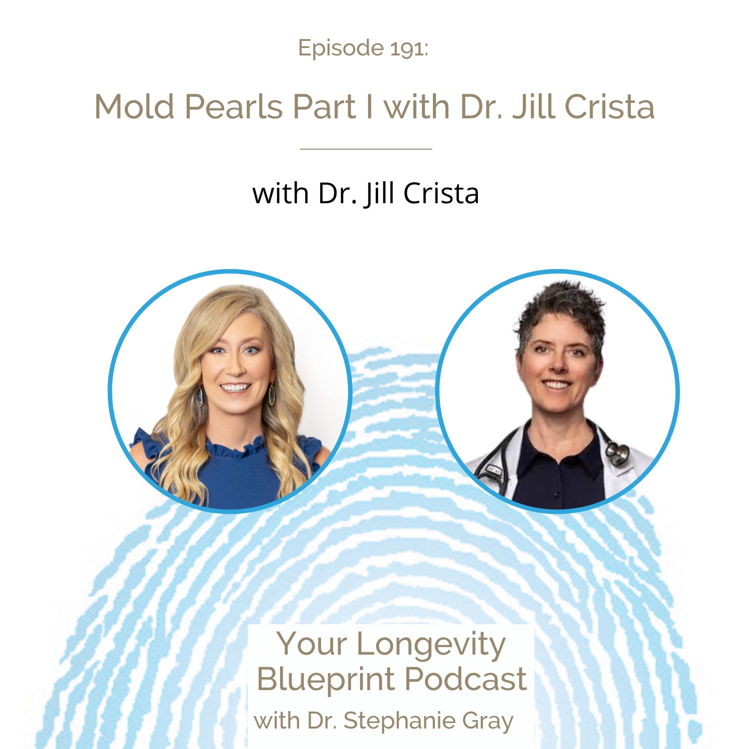 Your Longevity Blueprint