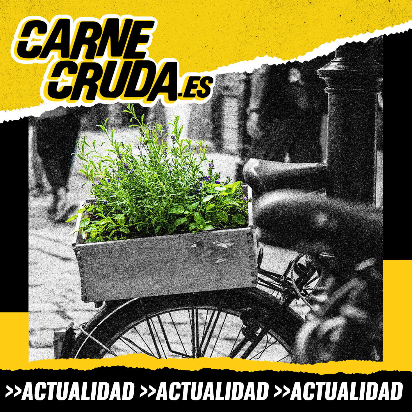 Que no nos consuma el ecoconsumo