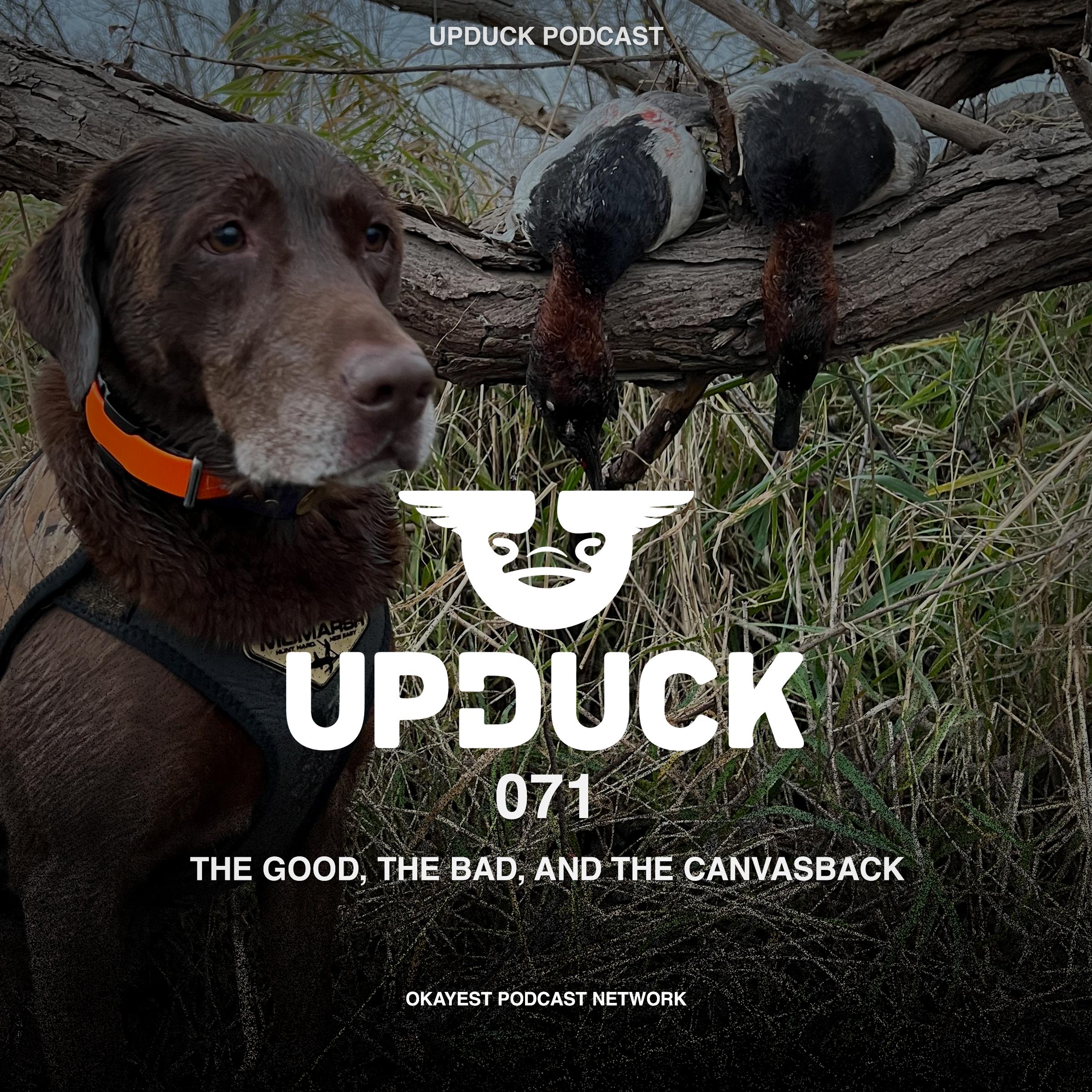 The Good, The Bad, and the Canvasback episode artwork