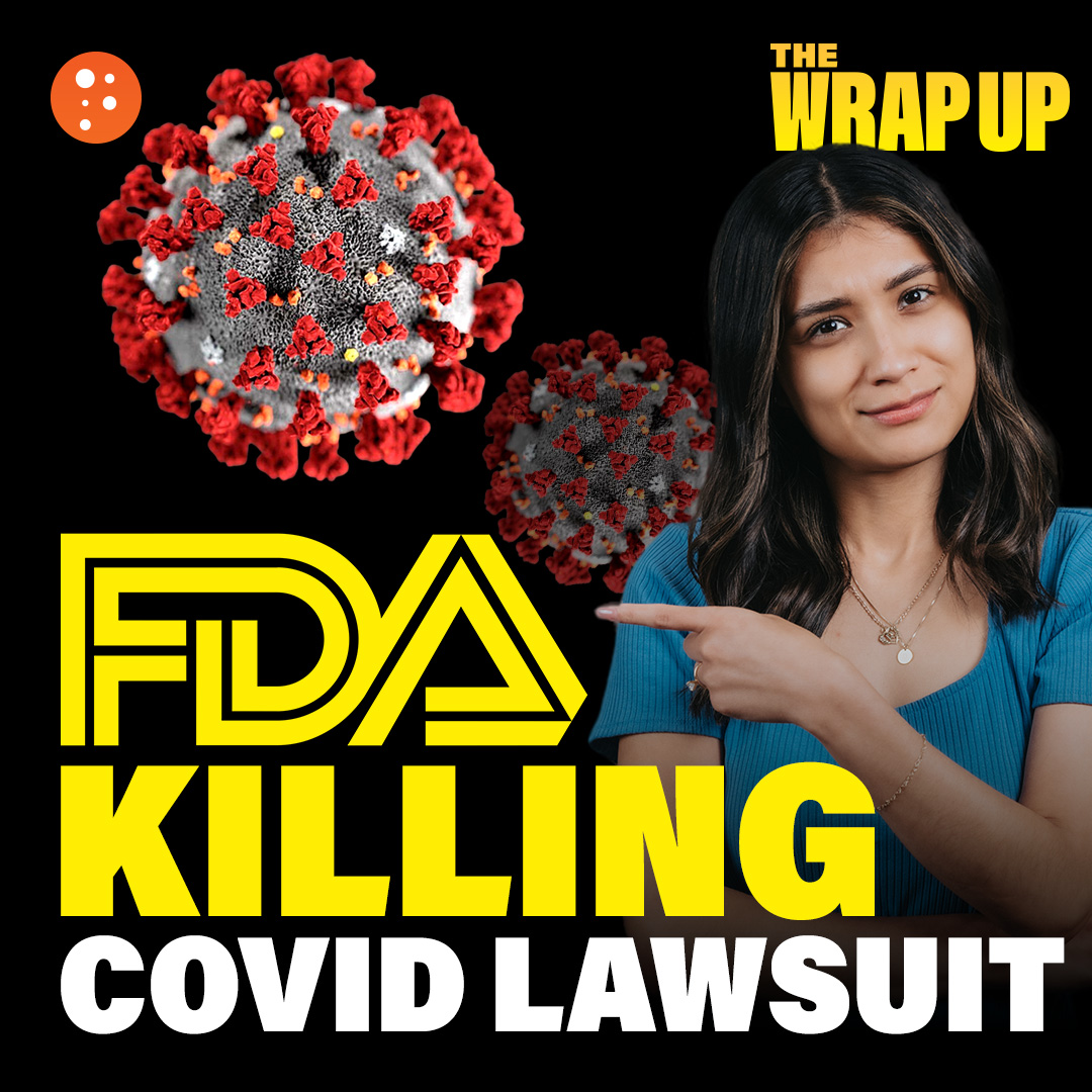 Virginia Election Integrity Win, FDA Squashing Lawsuit, Terror Charges for UK Child Murderer: 11/1/24 episode artwork