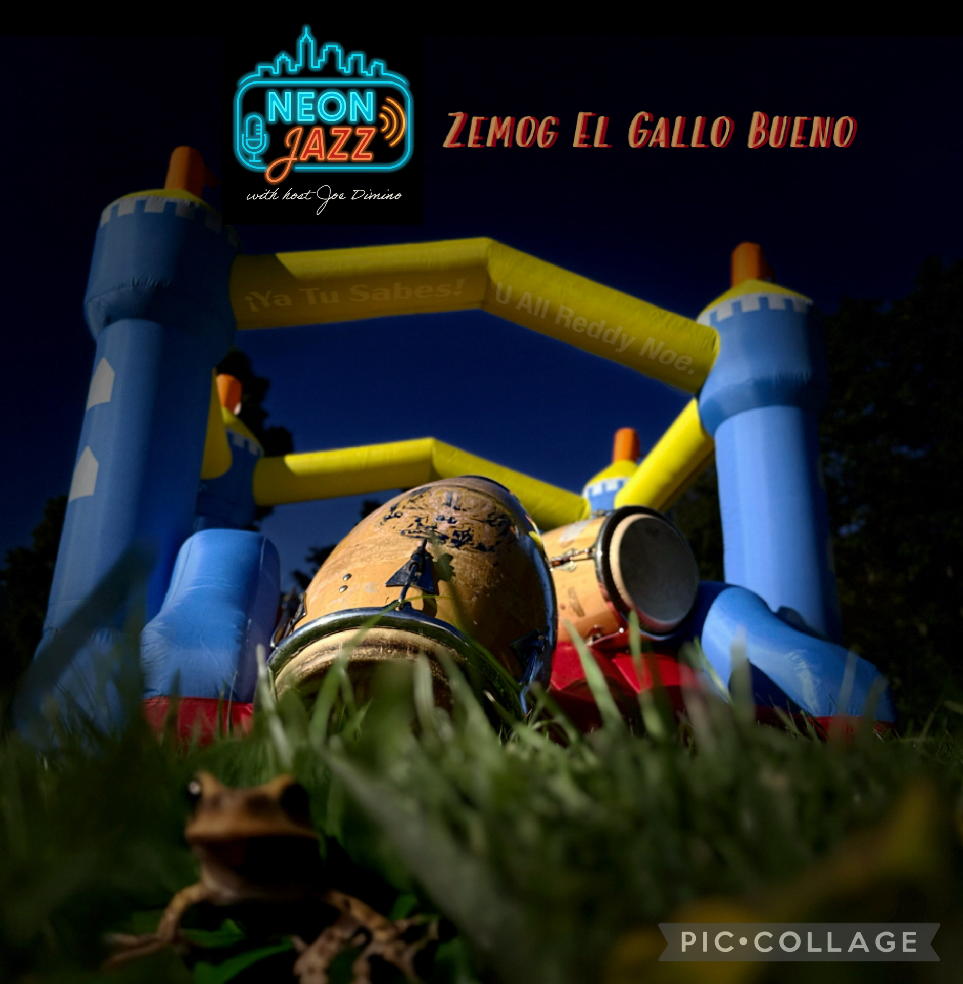 Neon Jazz Interviews