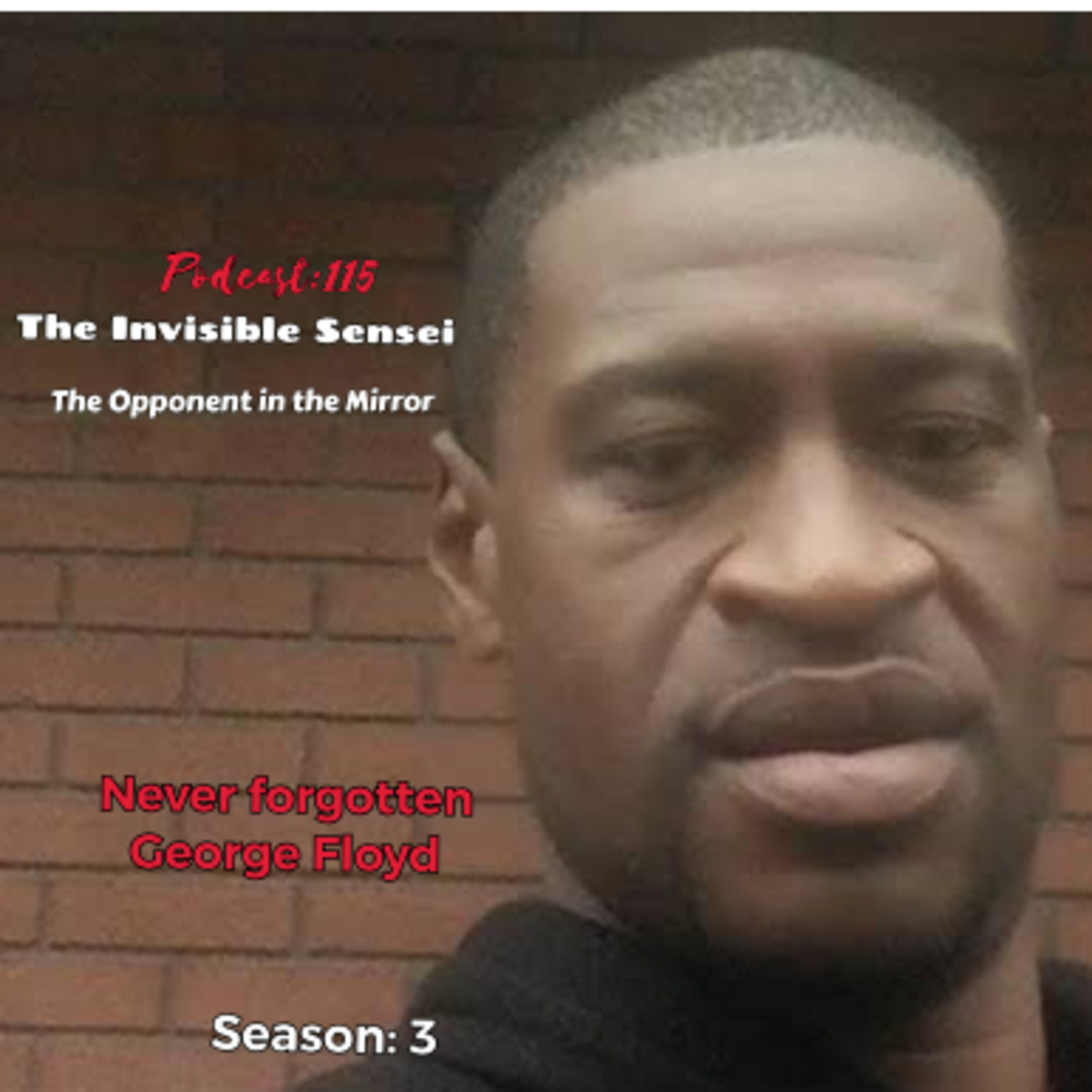 The Invisible Sensei