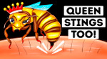 Are Queen Bee Stings More Dangerous? (We Found Out) episode artwork