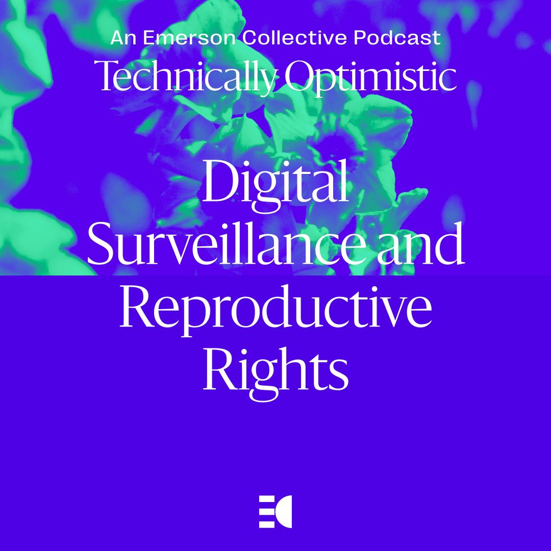 Thumbnail for "Digital surveillance and reproductive rights".
